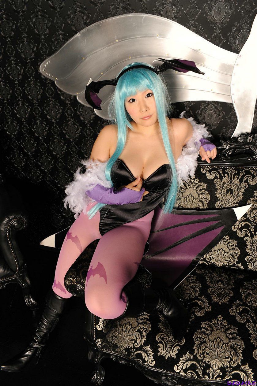 丹雫ひよ (Nishizuku Hiyo) 《Vampire》Morrigan Aensland  [HiyoHiyo Club]