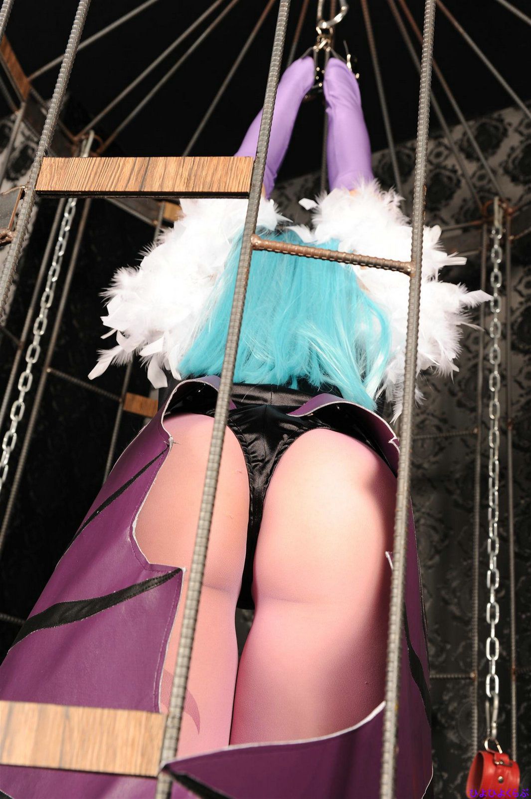丹雫ひよ (Nishizuku Hiyo) 《Vampire》Morrigan Aensland  [HiyoHiyo Club]