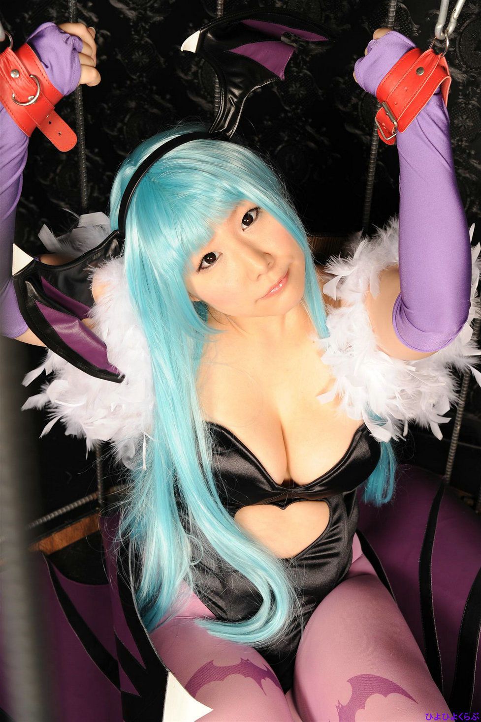 丹雫ひよ (Nishizuku Hiyo) 《Vampire》Morrigan Aensland  [HiyoHiyo Club]