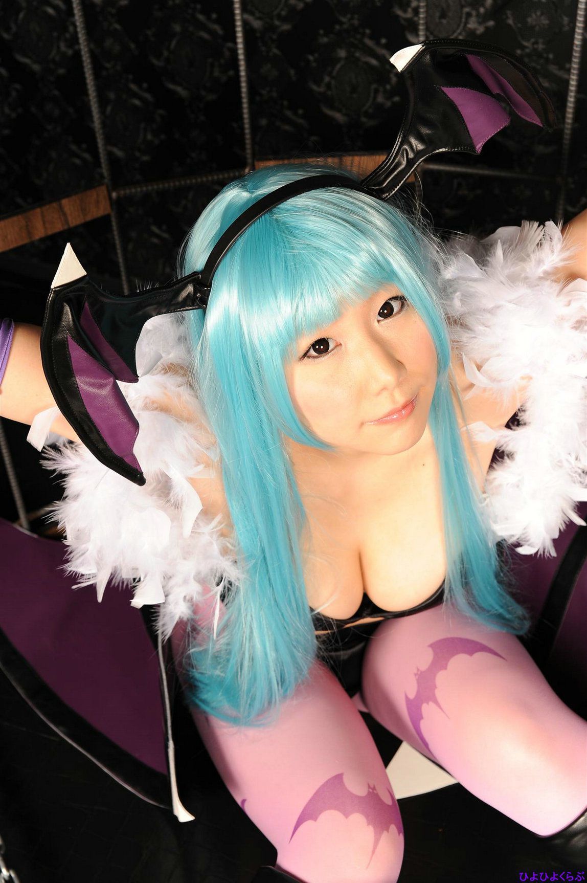 丹雫ひよ (Nishizuku Hiyo) 《Vampire》Morrigan Aensland  [HiyoHiyo Club]
