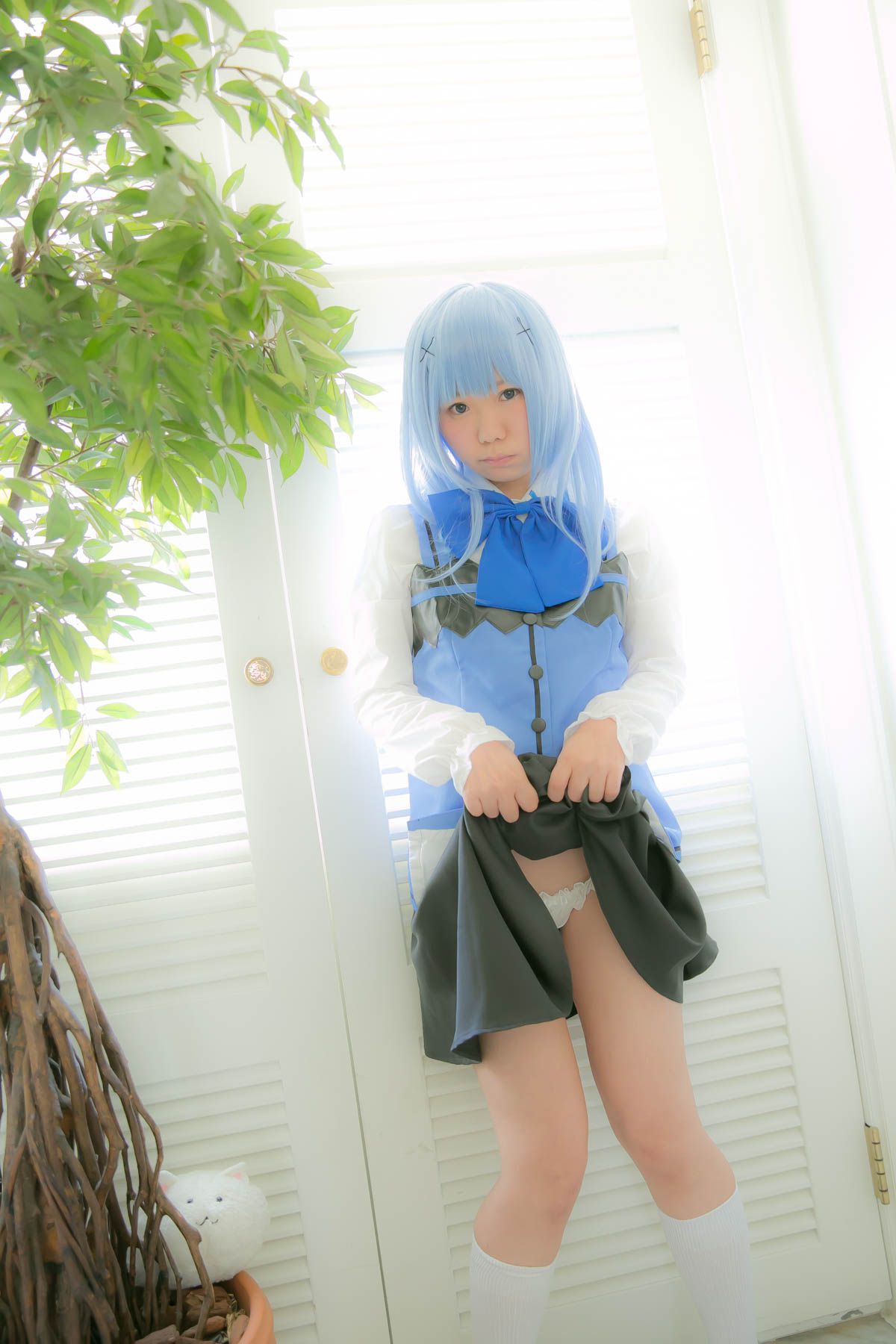 兎丘なこ (Ukyuu Nako) 《ご注文はうさぎですか？》香風智乃 [Black★pumpkin]