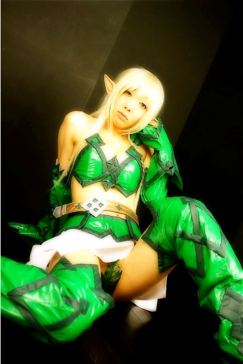 華群みさき(Hanamura Misaki) 《Queen s Blade》Alice+Alleyne+Echidna  [HONEY BUNNY]