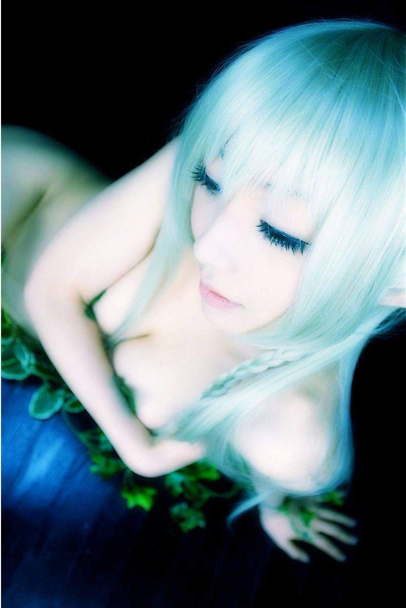 華群みさき(Hanamura Misaki) 《Queen s Blade》Alice+Alleyne+Echidna  [HONEY BUNNY]