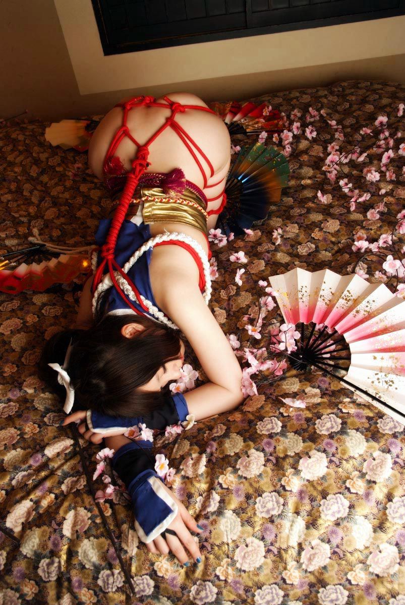 林檎蜜紀 《Garou Densetsu》Shiranui Mai [HERESY]