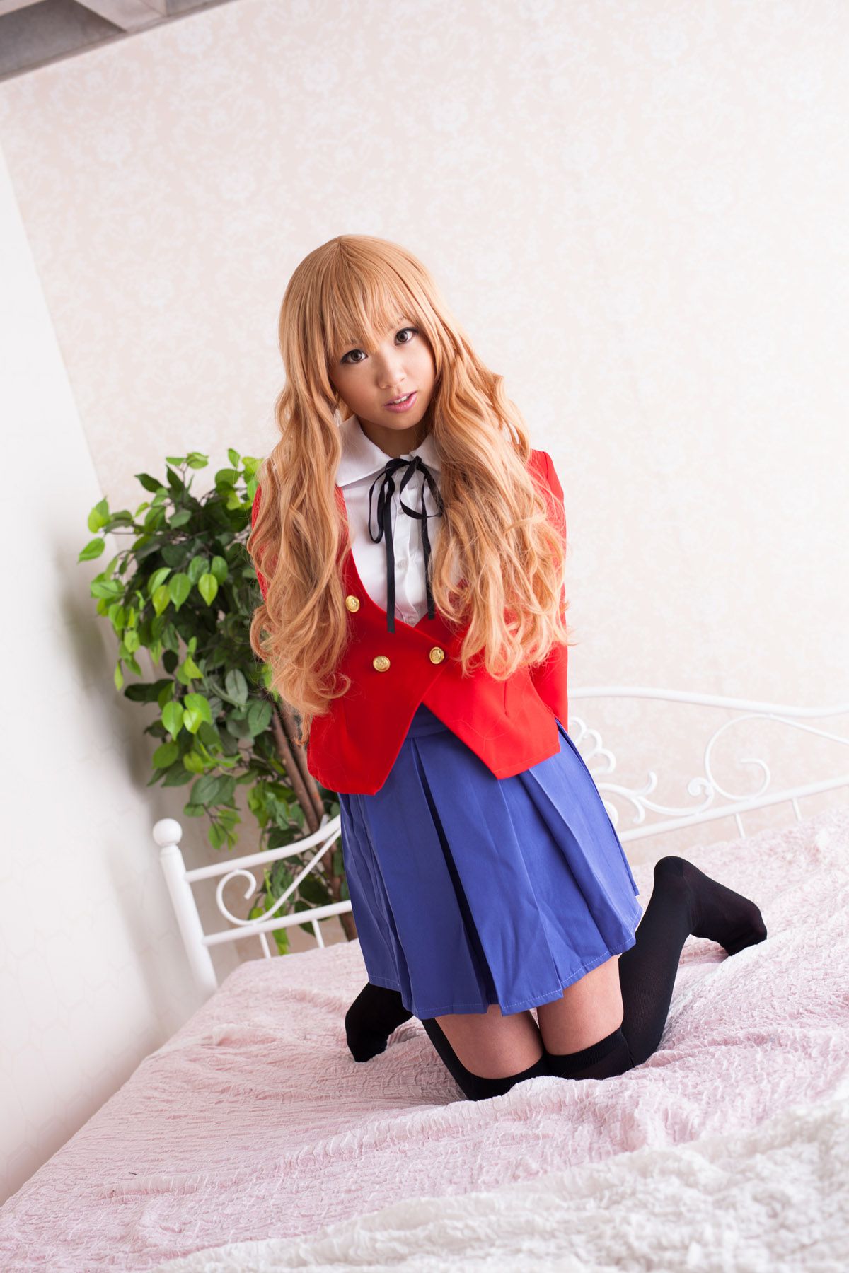 早乙女らぶ  《Toradora!》逢坂大河 [@factory]