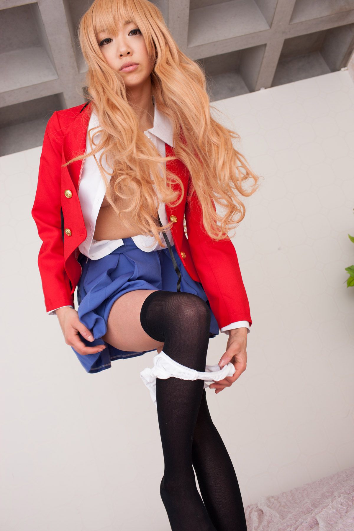早乙女らぶ  《Toradora!》逢坂大河 [@factory]