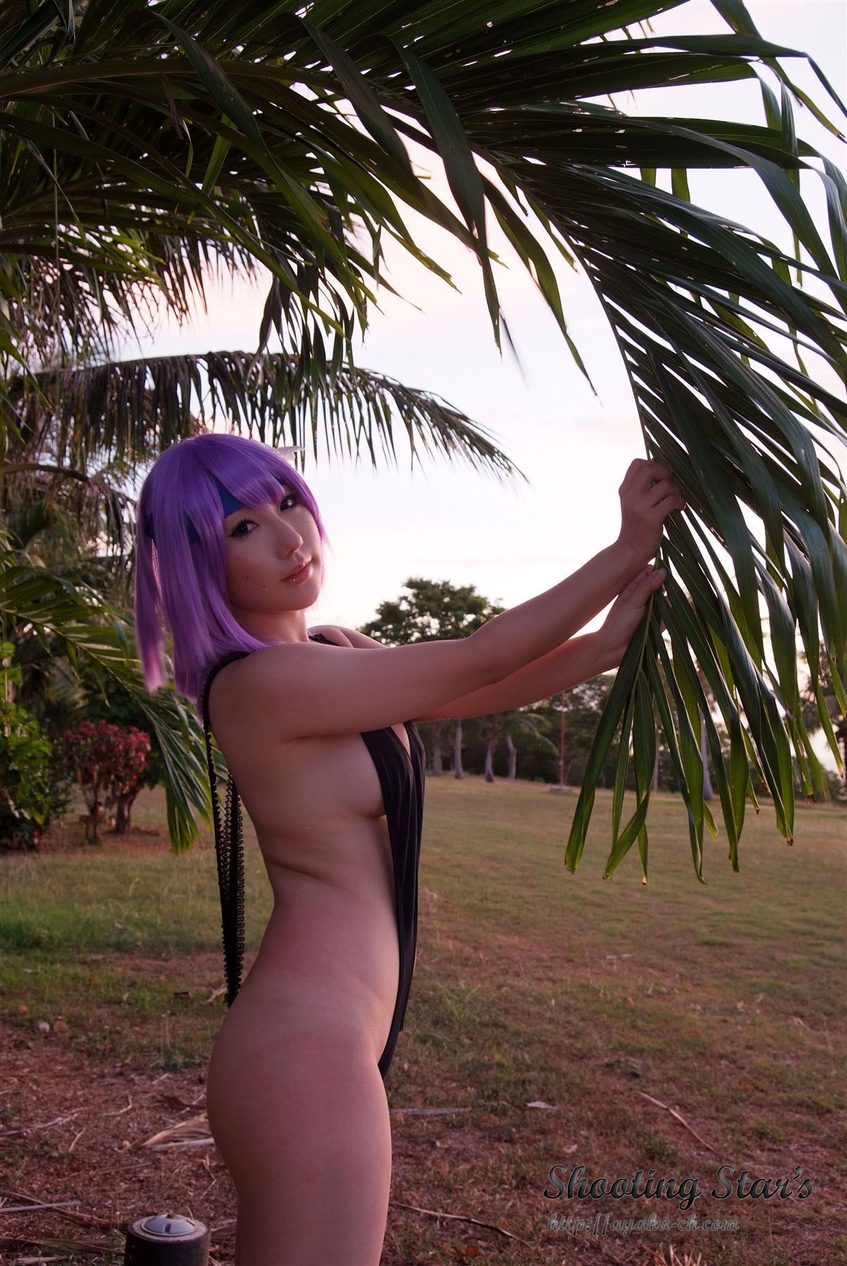 绫香サク  《DEAD OR ALIVE》Ayane(あやね) [Shooting Star s]