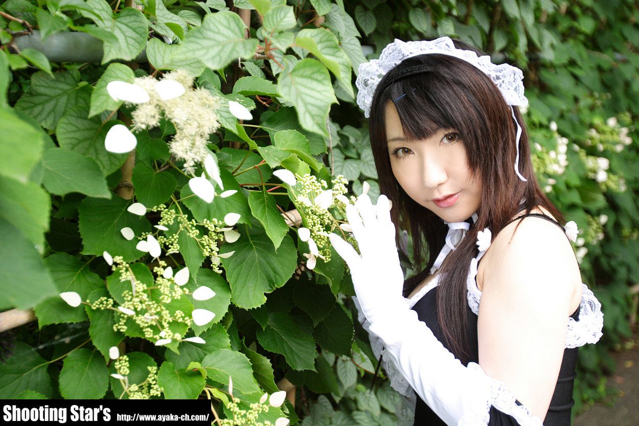 绫香サク 《これが私の御主人様》倉内安奈 [Shooting Star s]