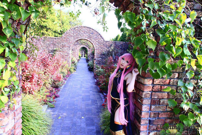 绫香サク 《VOCALOID》 Megurine Luka [Shooting Star s]
