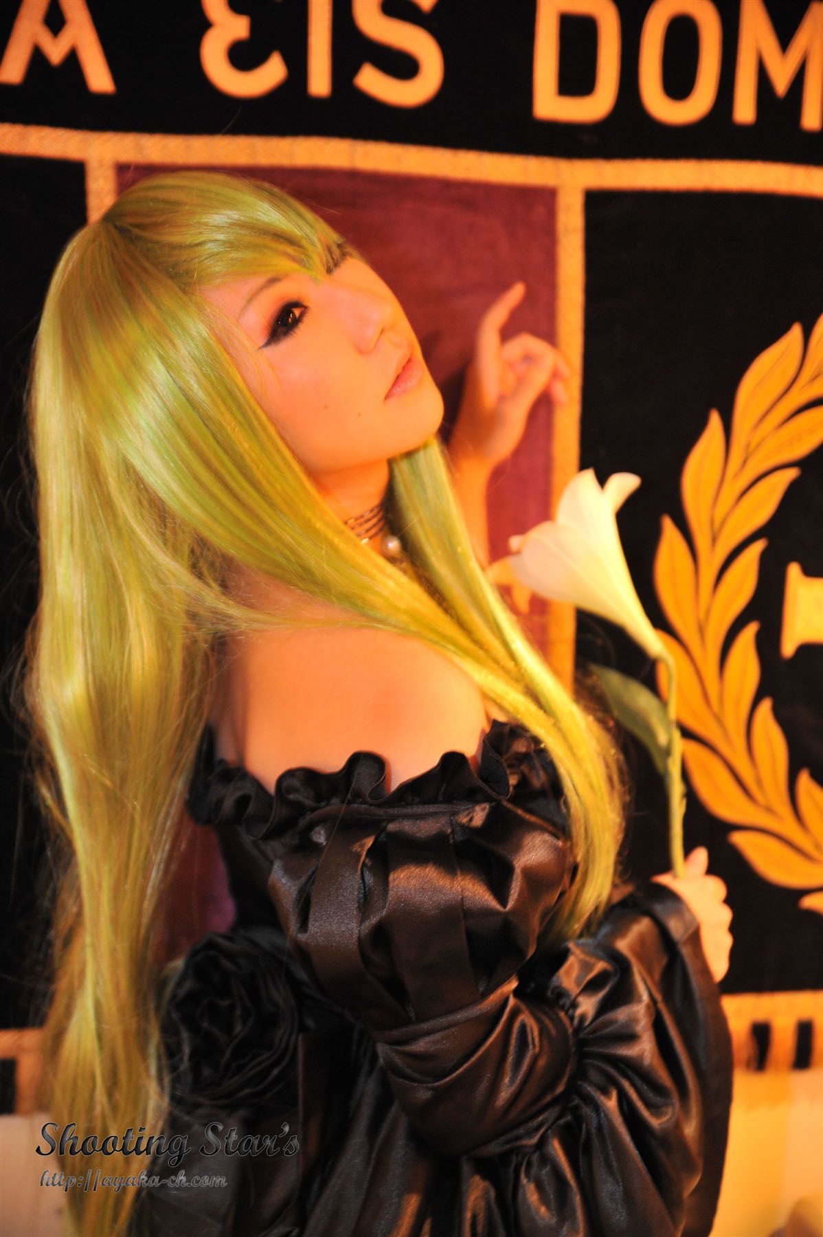 绫香サク 《Code Geass》C.C.+Euphemia li Britannia [Shooting Star s]