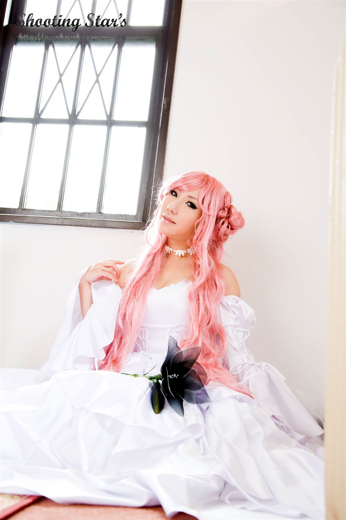 绫香サク 《Code Geass》C.C.+Euphemia li Britannia [Shooting Star s]
