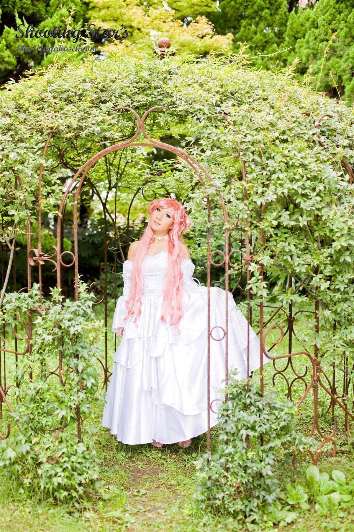绫香サク 《Code Geass》C.C.+Euphemia li Britannia [Shooting Star s]