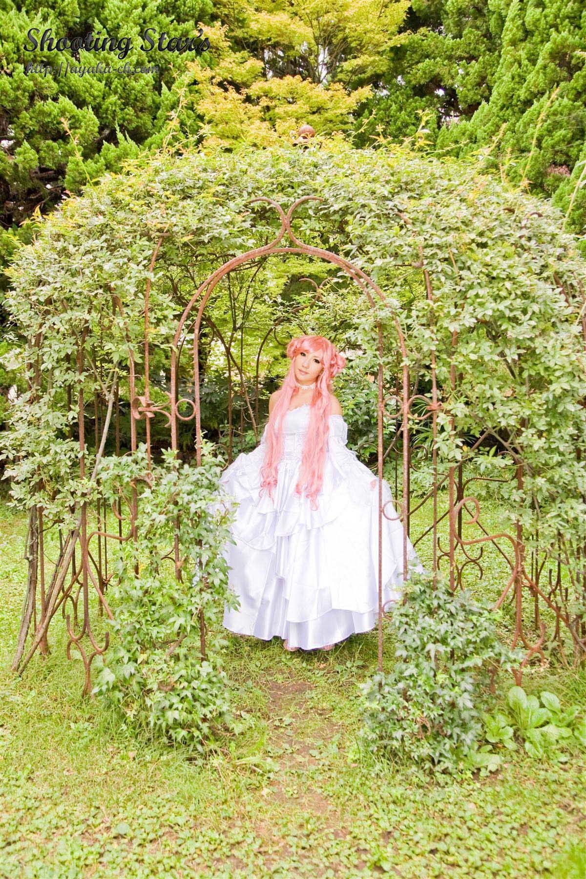 绫香サク 《Code Geass》C.C.+Euphemia li Britannia [Shooting Star s]