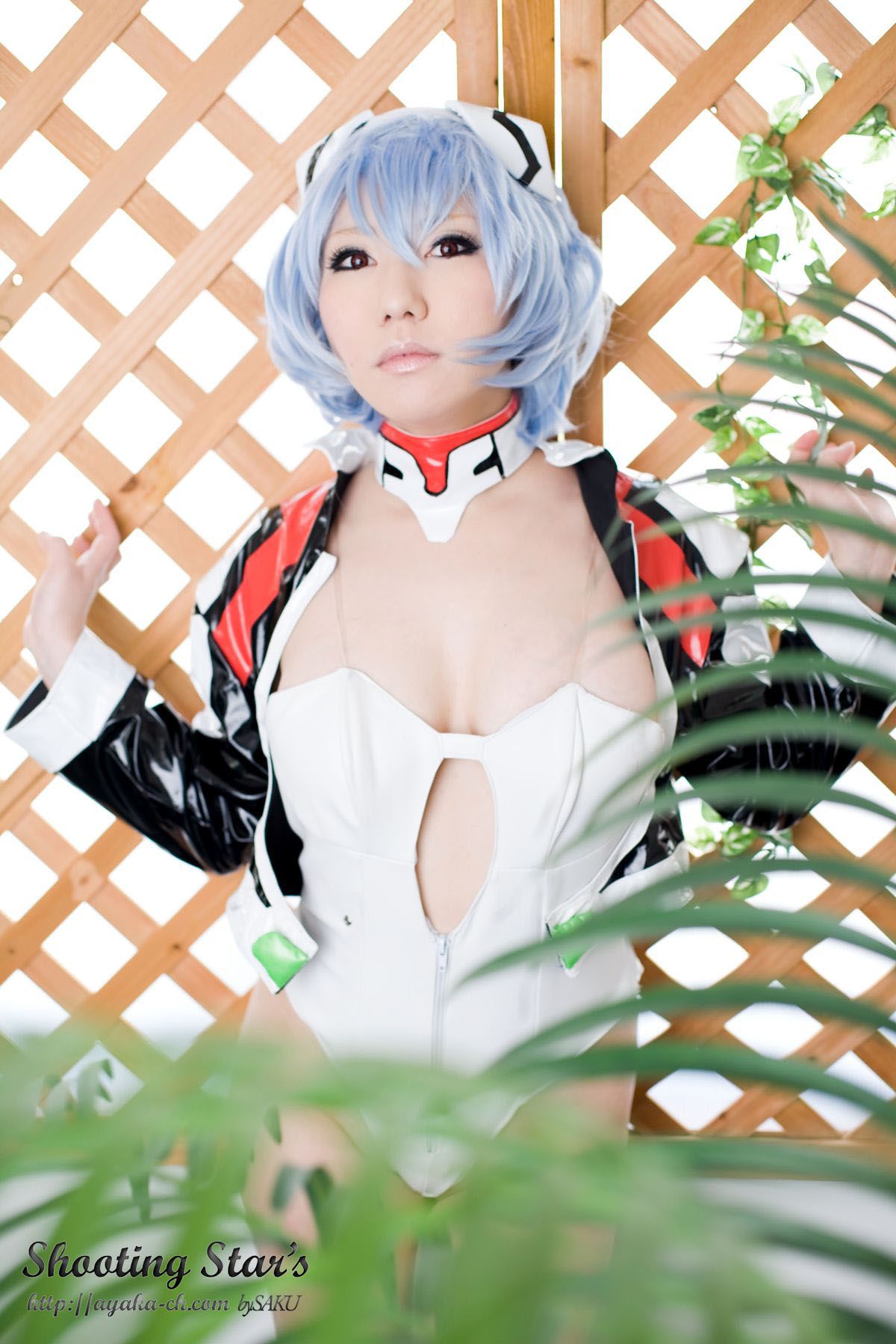 绫香サク 《新世紀エヴァンゲリオン》Rei Ayanami