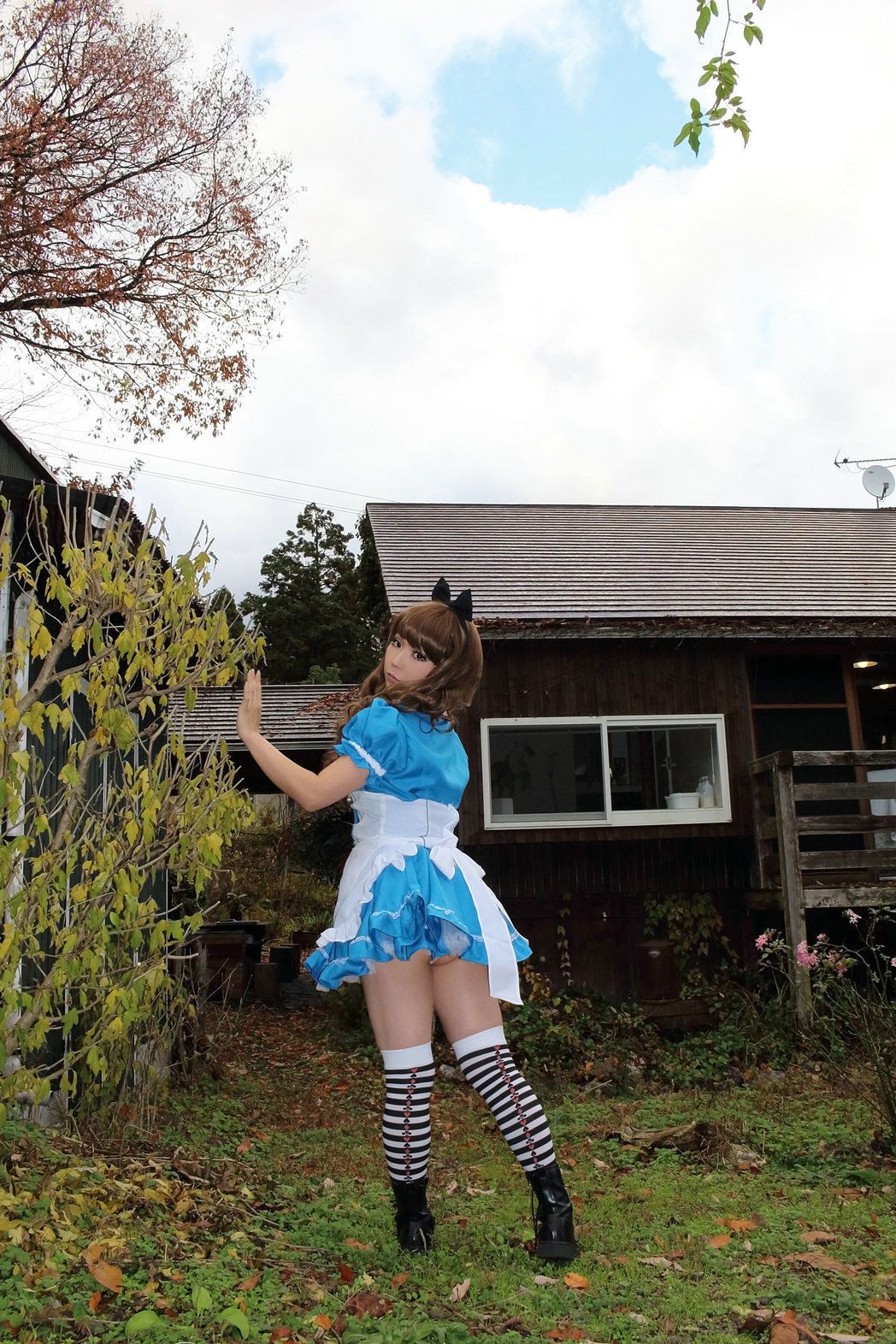 日暮らん (Higurashi Ran) 《Alice s Adventures in Wonderland》 Lite.Ver. [HBS]
