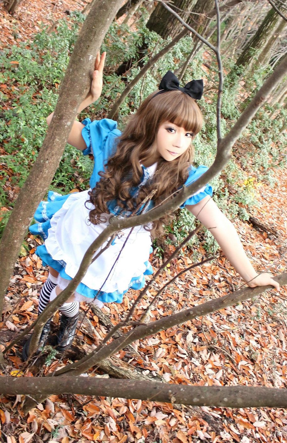 日暮らん (Higurashi Ran) 《Alice s Adventures in Wonderland》 Lite.Ver. [HBS]