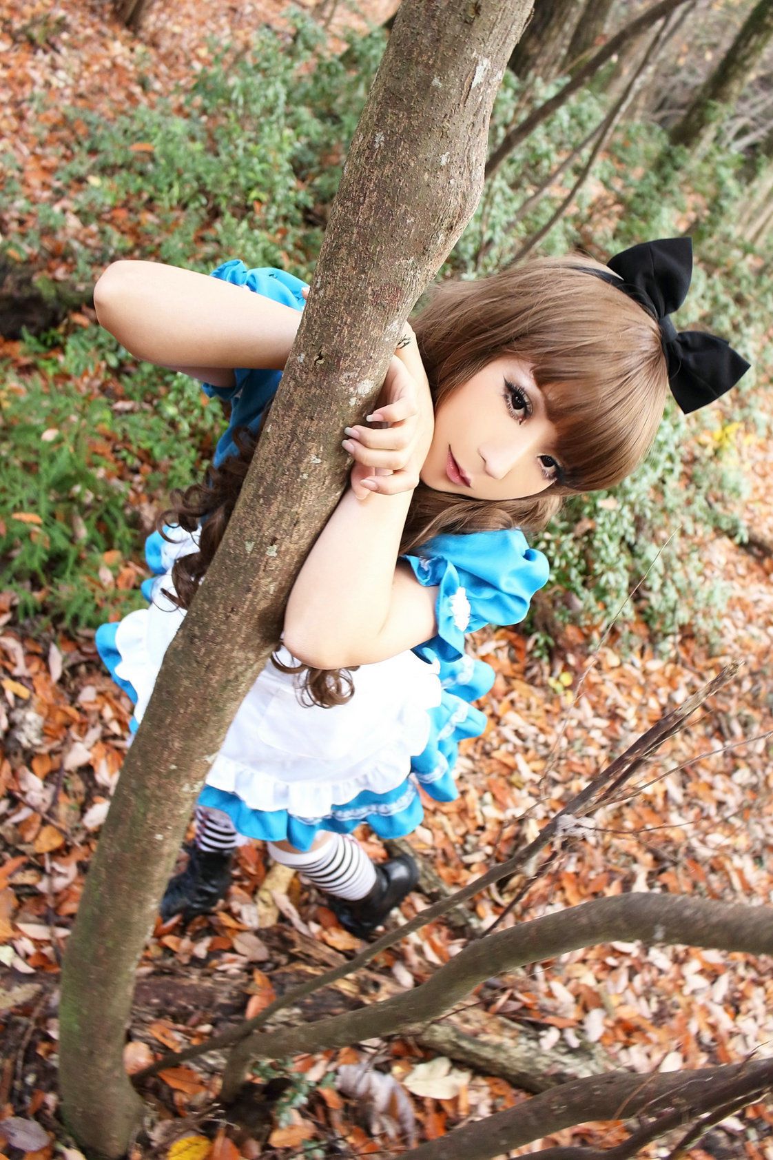 日暮らん (Higurashi Ran) 《Alice s Adventures in Wonderland》 Lite.Ver. [HBS]