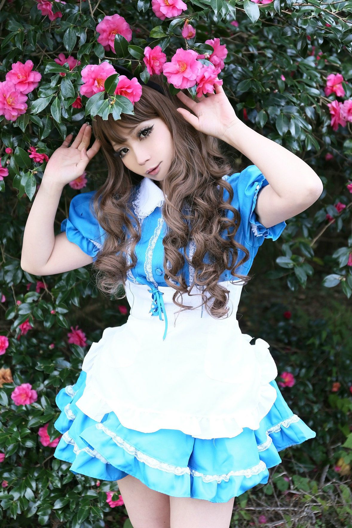 日暮らん (Higurashi Ran) 《Alice s Adventures in Wonderland》 Lite.Ver. [HBS]