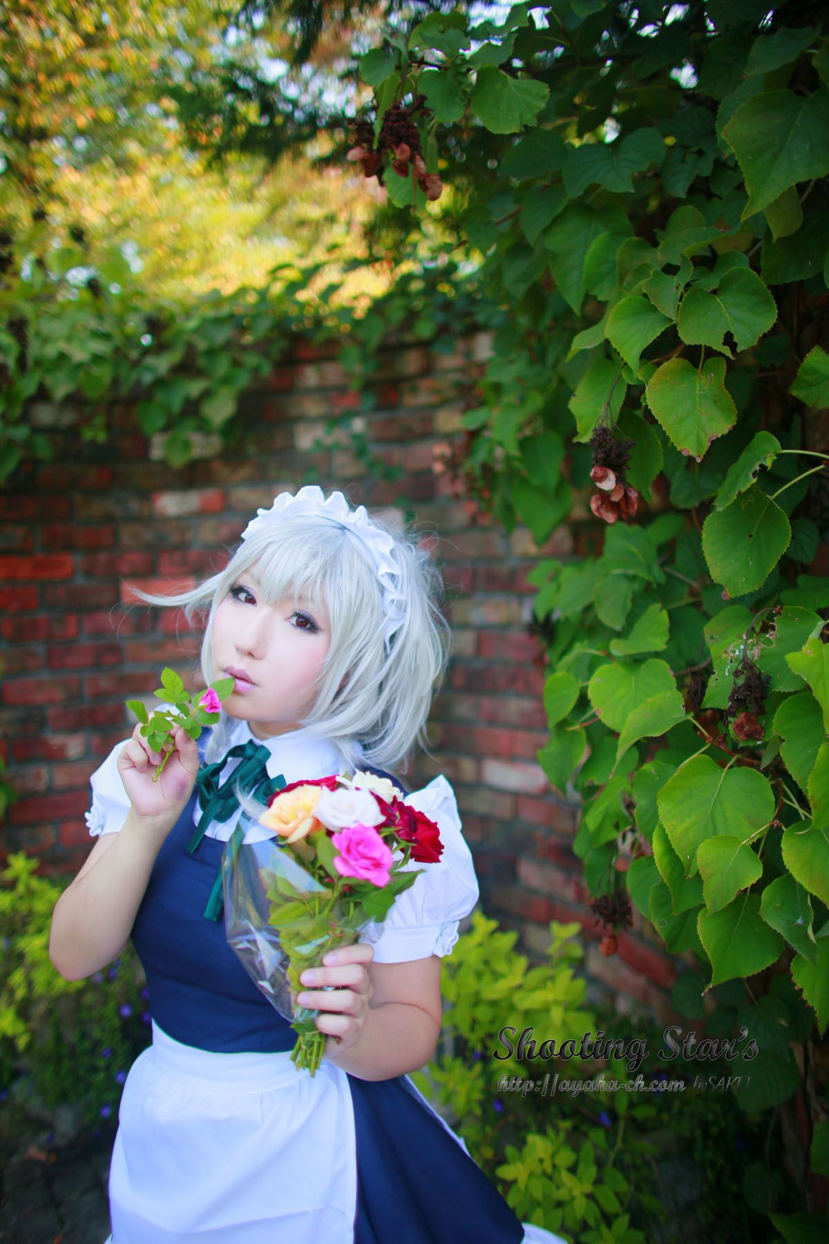 绫香サク (Saku サク Saku Ayaka) 《東方Project》Izayoi Sakuya + Patchouli Knowledge [Shooting Star s]