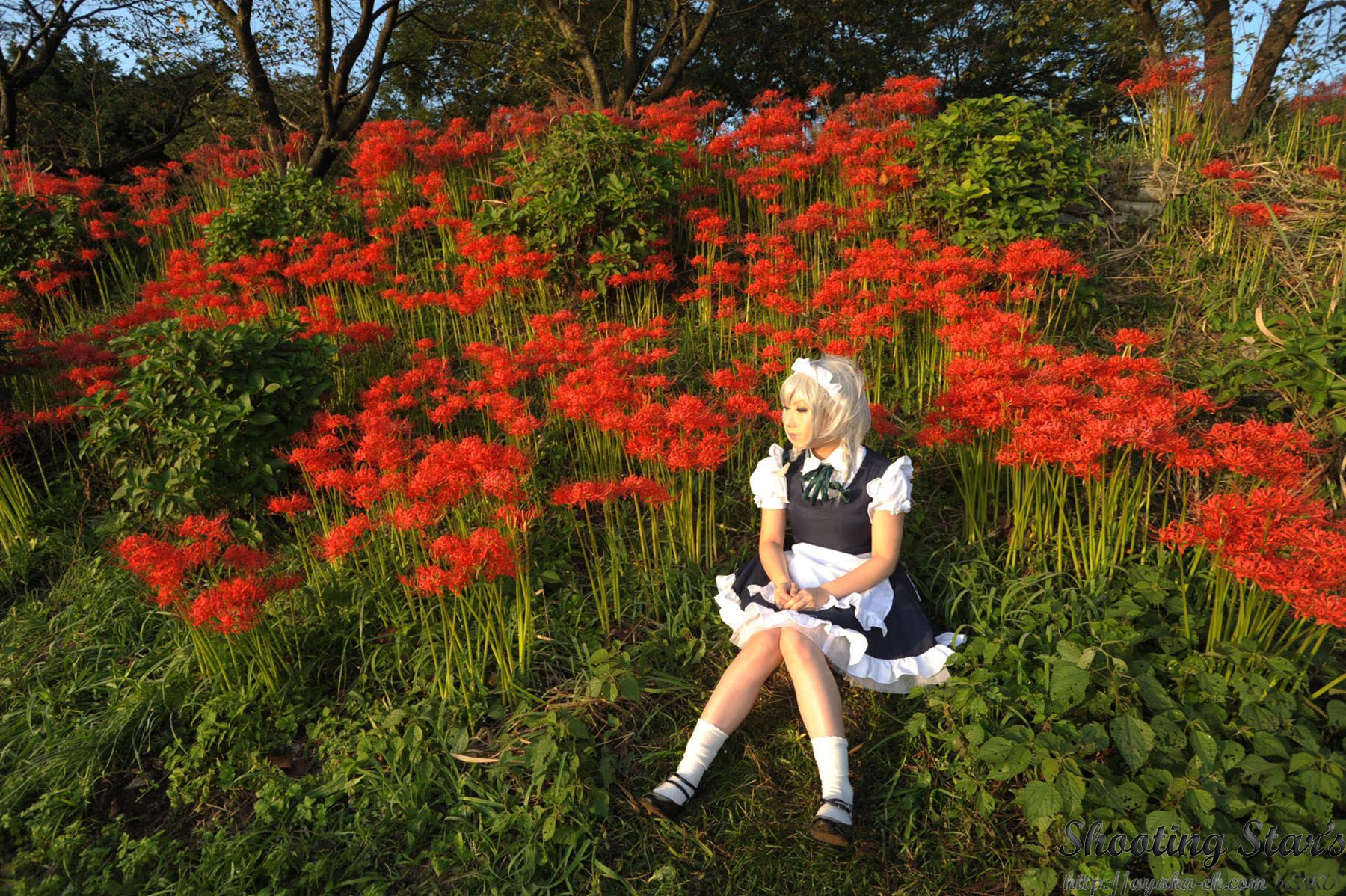绫香サク (Saku サク Saku Ayaka) 《東方Project》Izayoi Sakuya + Patchouli Knowledge [Shooting Star s]