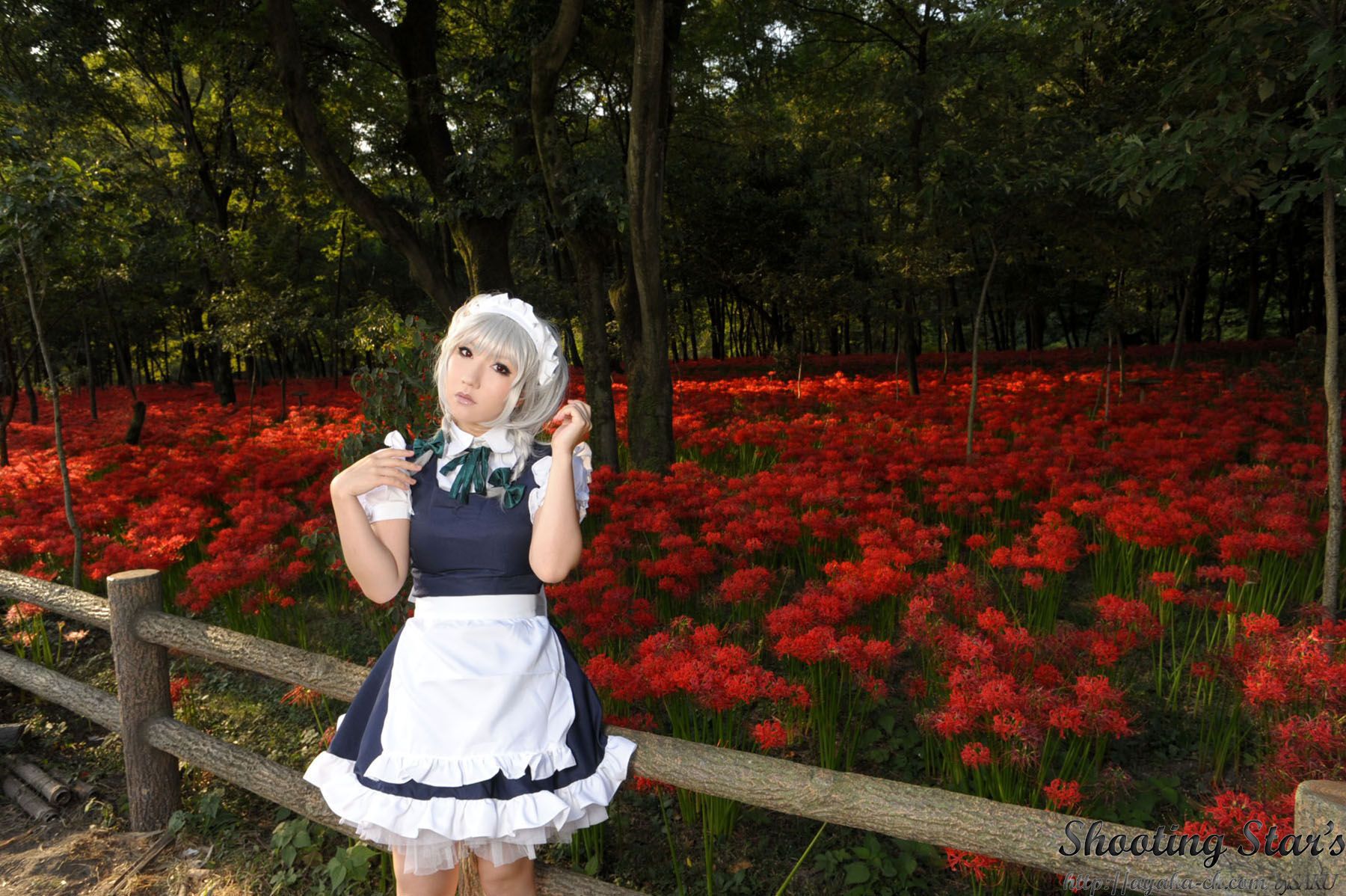 绫香サク (Saku サク Saku Ayaka) 《東方Project》Izayoi Sakuya + Patchouli Knowledge [Shooting Star s]
