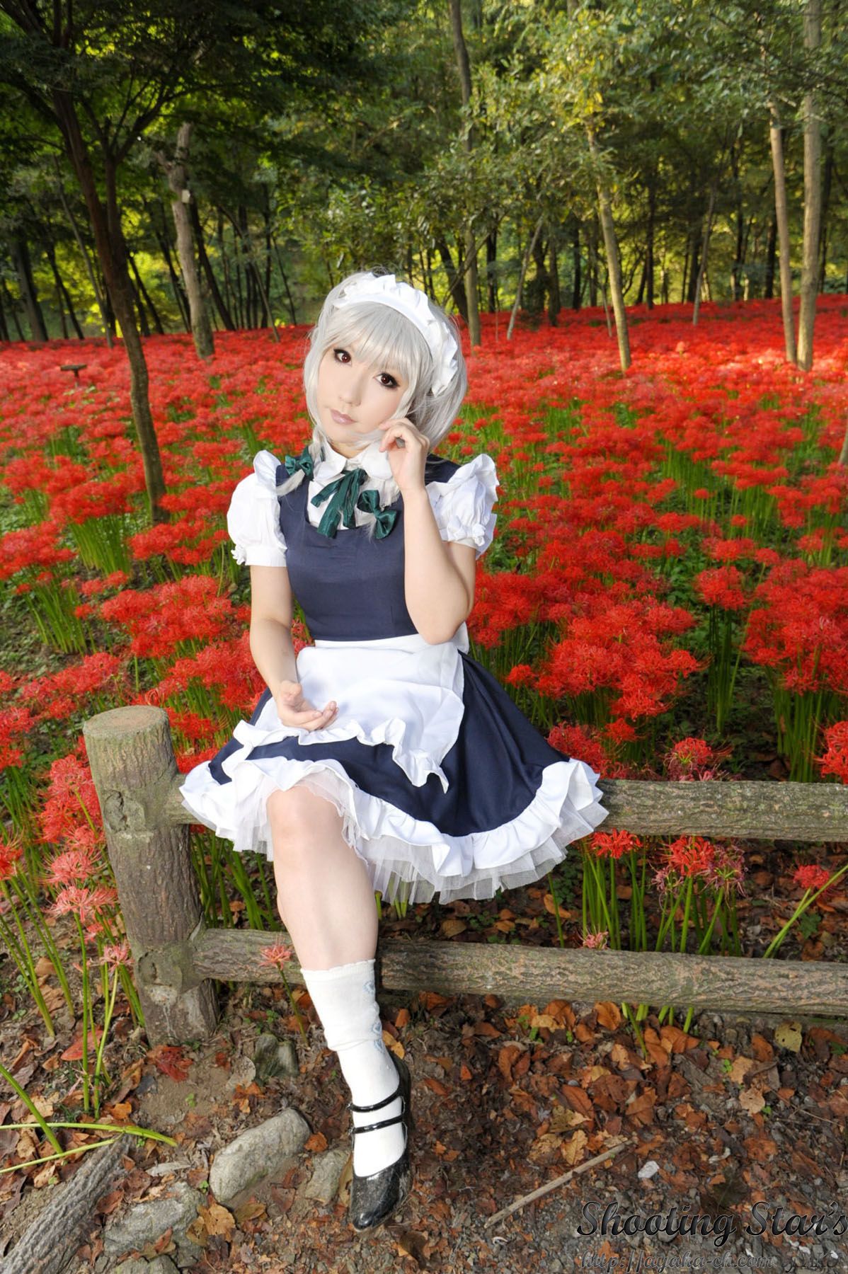 绫香サク (Saku サク Saku Ayaka) 《東方Project》Izayoi Sakuya + Patchouli Knowledge [Shooting Star s]