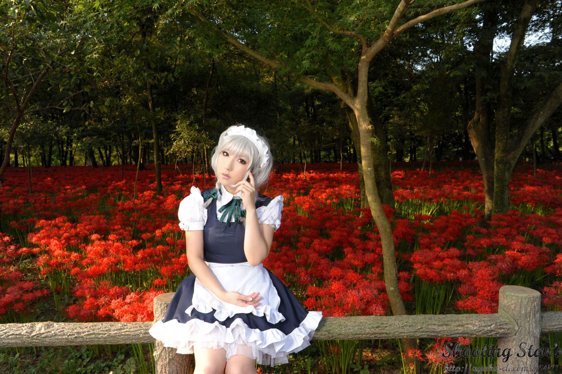 绫香サク (Saku サク Saku Ayaka) 《東方Project》Izayoi Sakuya + Patchouli Knowledge [Shooting Star s]