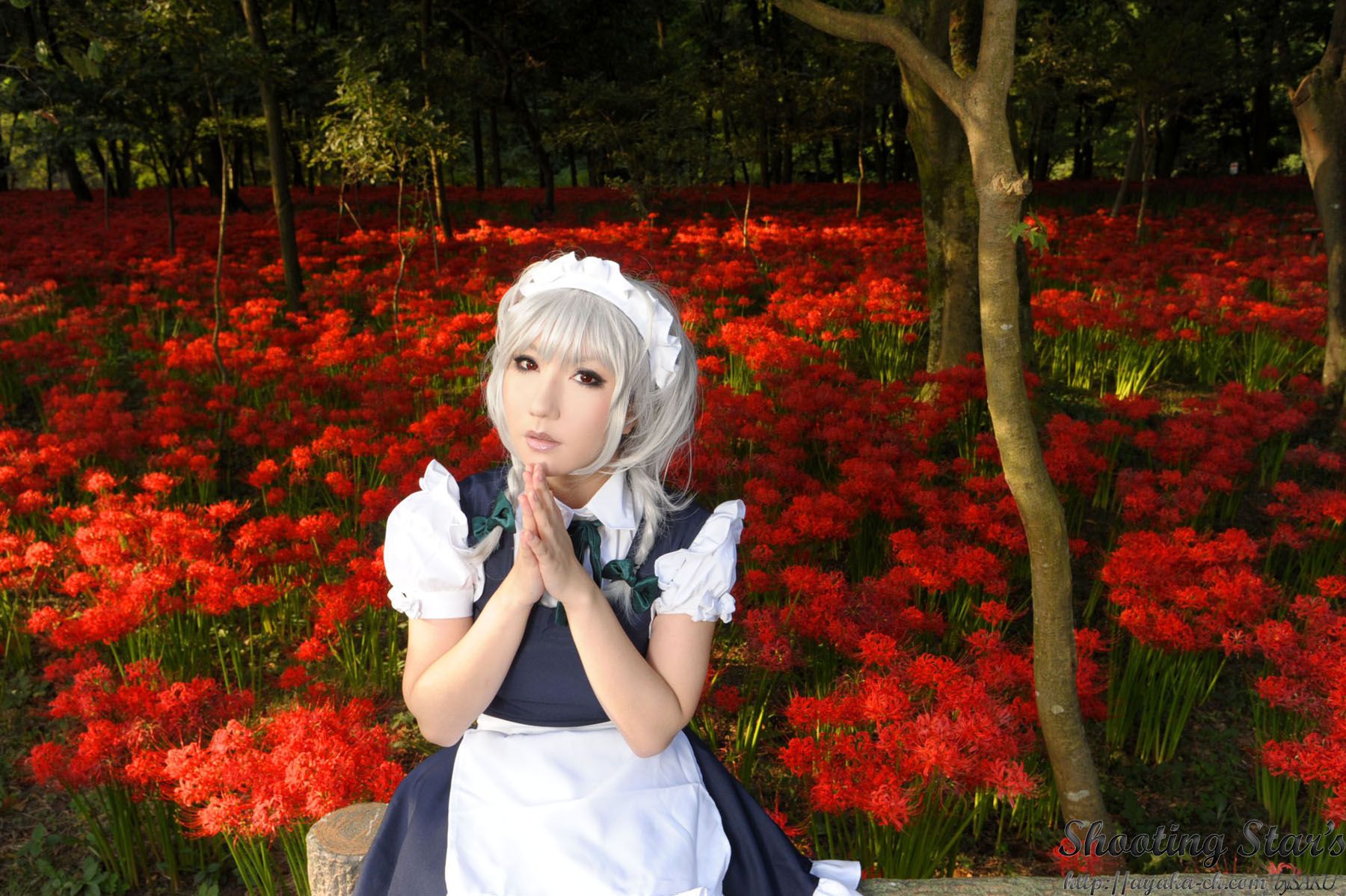 绫香サク (Saku サク Saku Ayaka) 《東方Project》Izayoi Sakuya + Patchouli Knowledge [Shooting Star s]