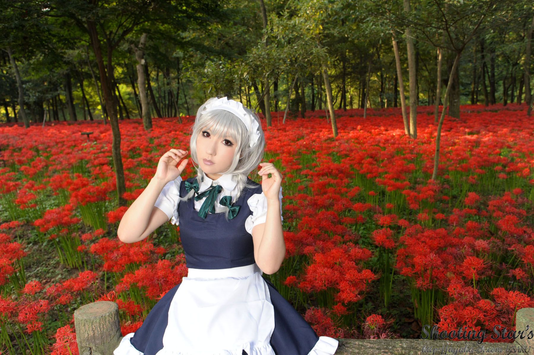 绫香サク (Saku サク Saku Ayaka) 《東方Project》Izayoi Sakuya + Patchouli Knowledge [Shooting Star s]