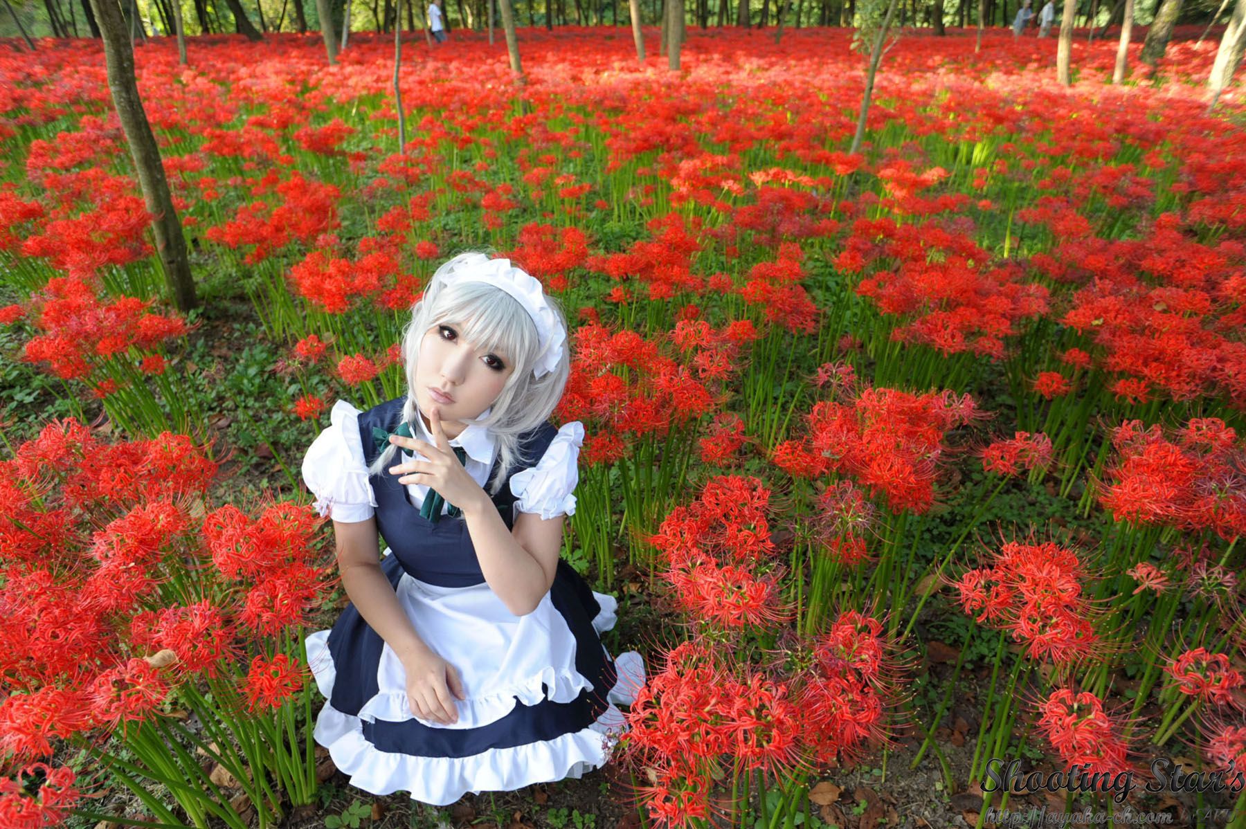 绫香サク (Saku サク Saku Ayaka) 《東方Project》Izayoi Sakuya + Patchouli Knowledge [Shooting Star s]