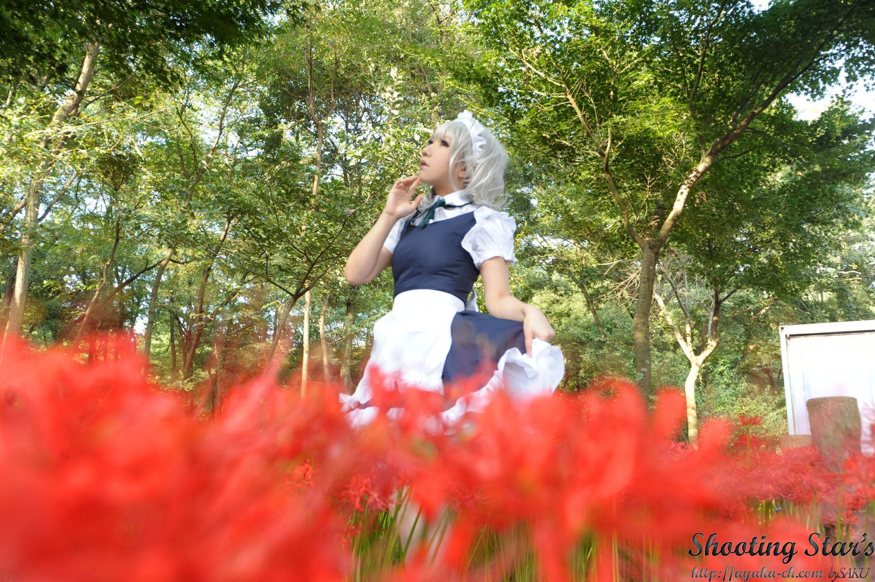 绫香サク (Saku サク Saku Ayaka) 《東方Project》Izayoi Sakuya + Patchouli Knowledge [Shooting Star s]