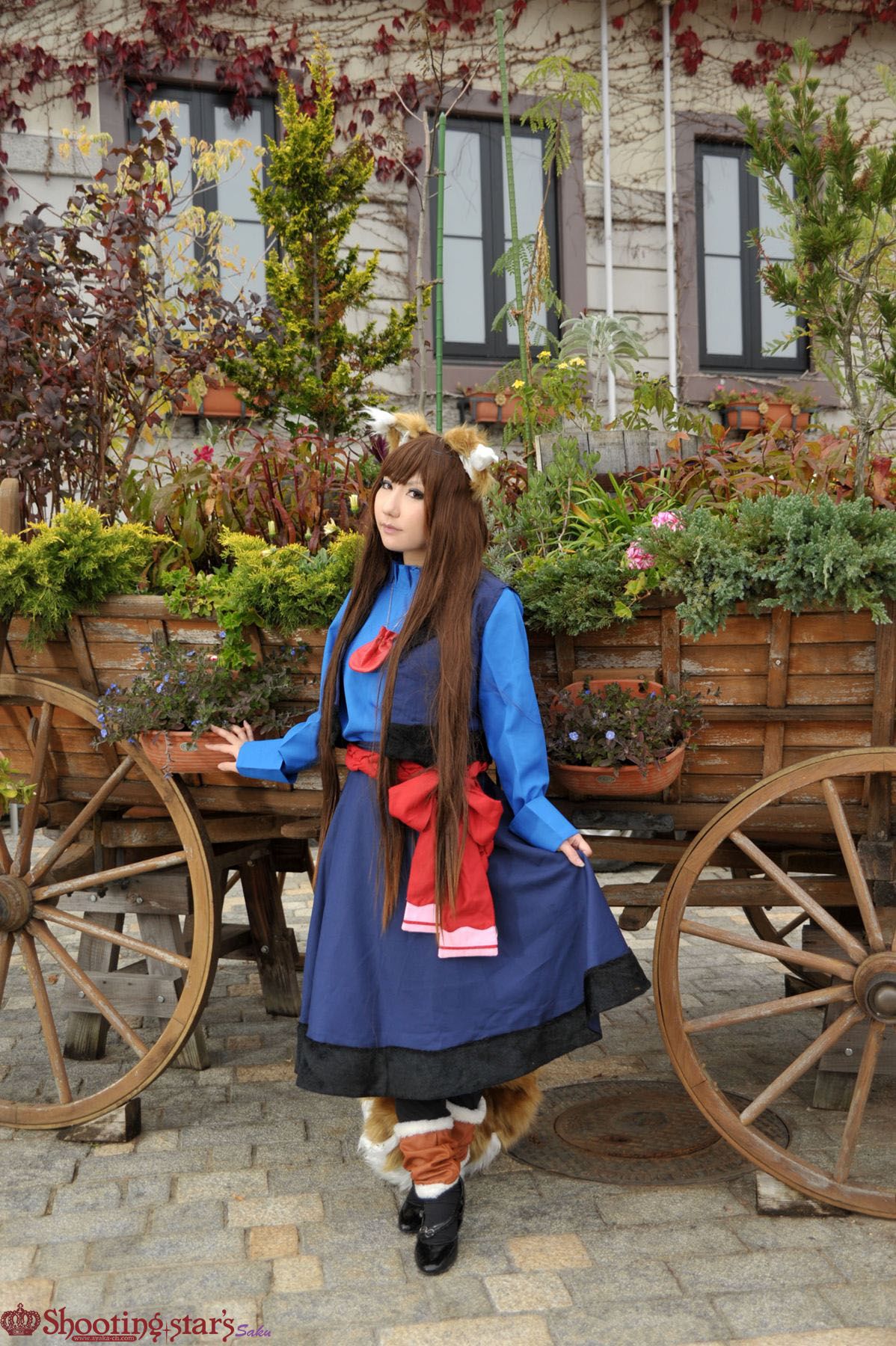 サク Saku Ayaka 《狼与香辛料》赫萝