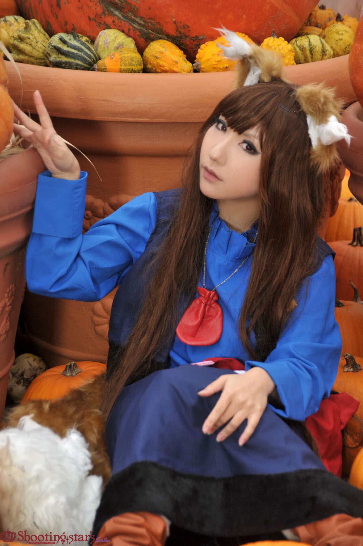 サク Saku Ayaka 《狼与香辛料》赫萝