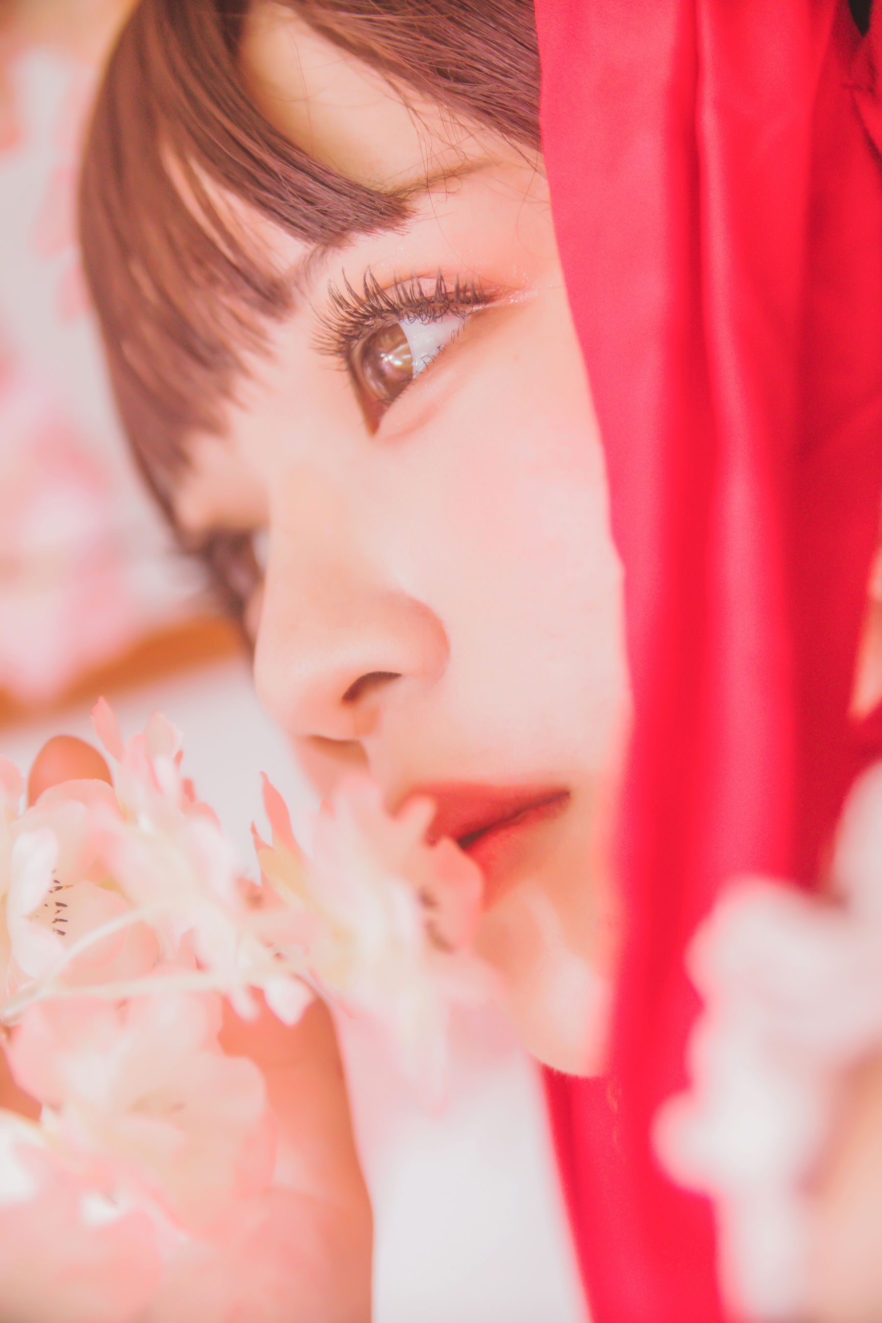 [萝莉COS] 疯猫ss《灵梦》