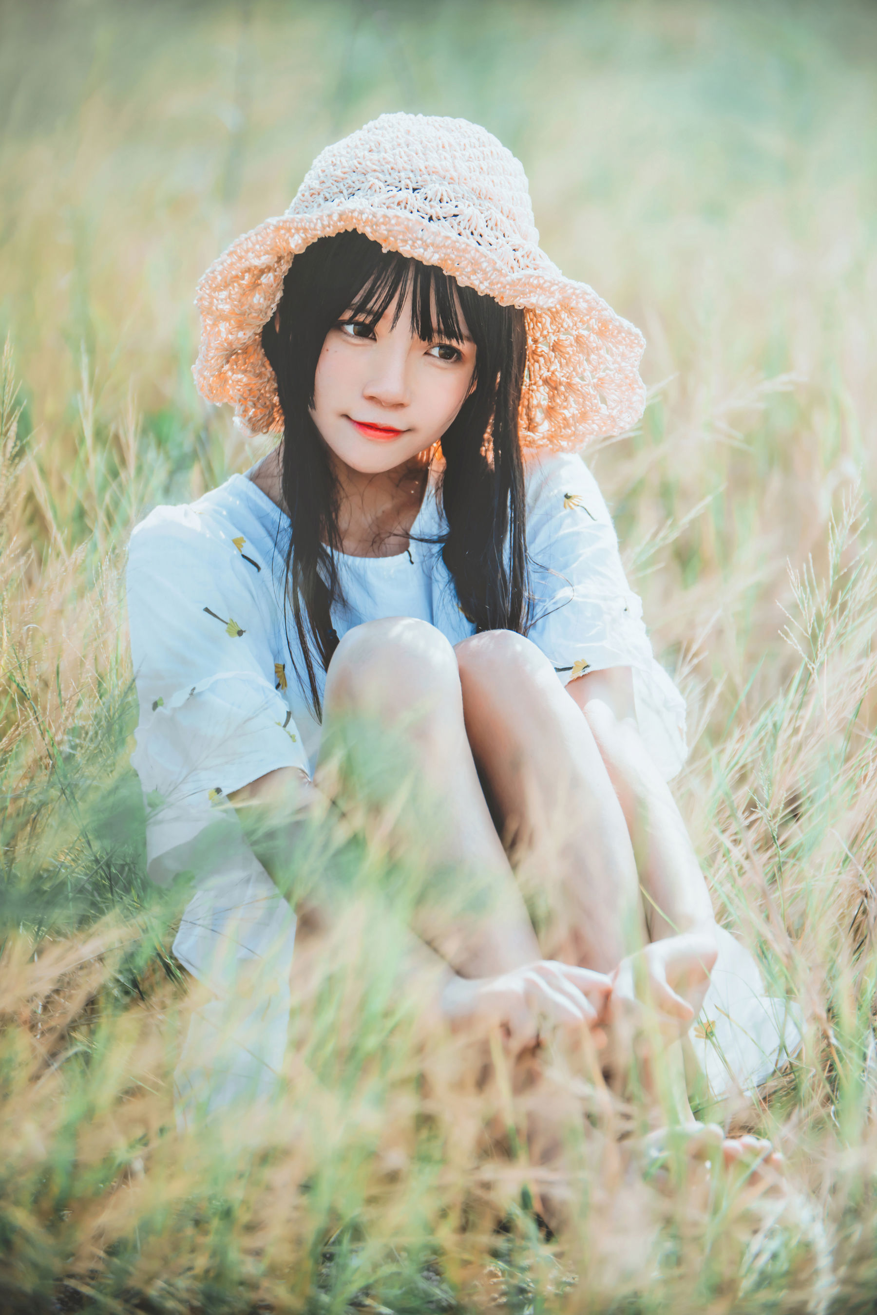 桜桃喵《田野》》