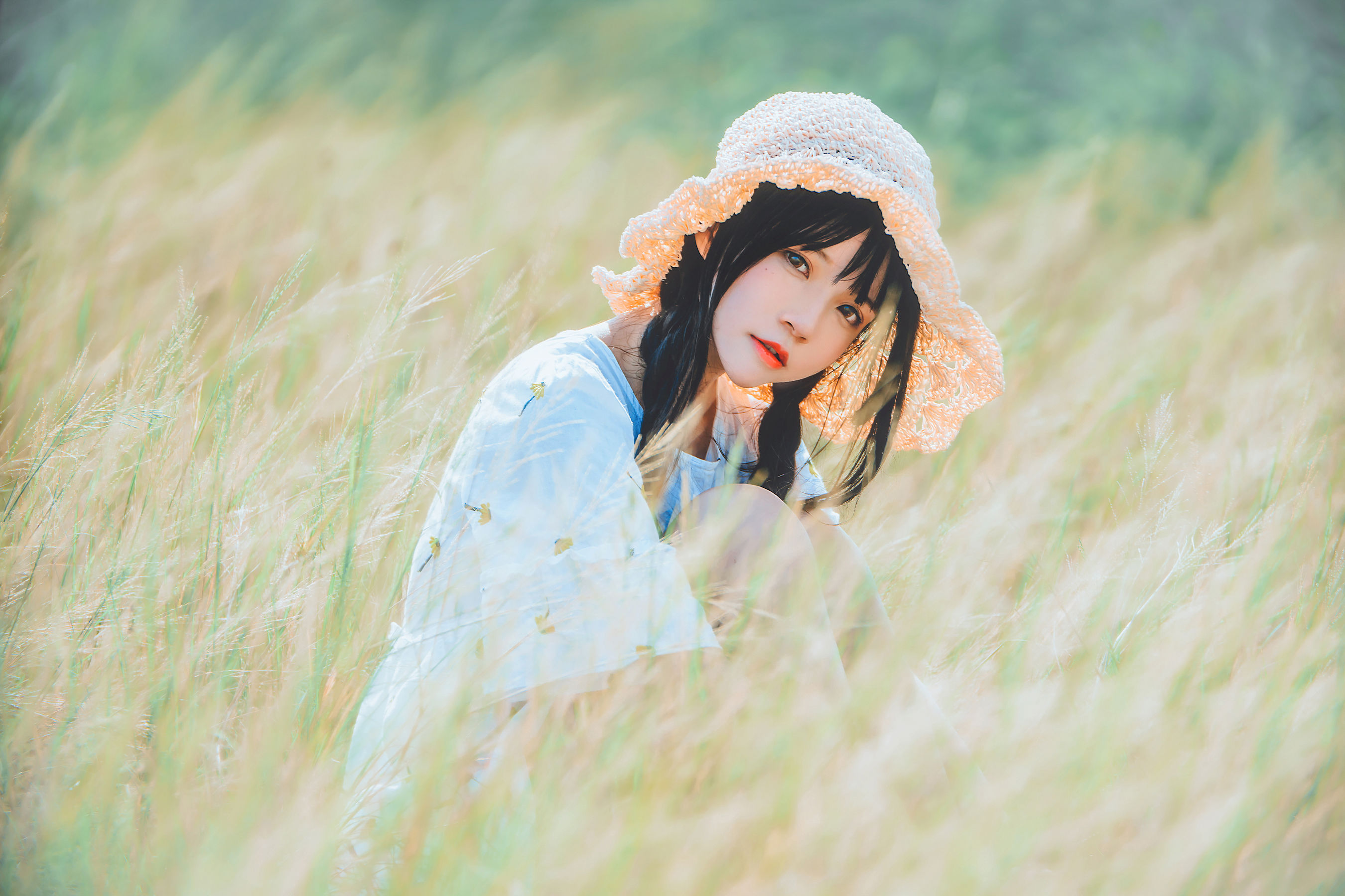 桜桃喵《田野》》