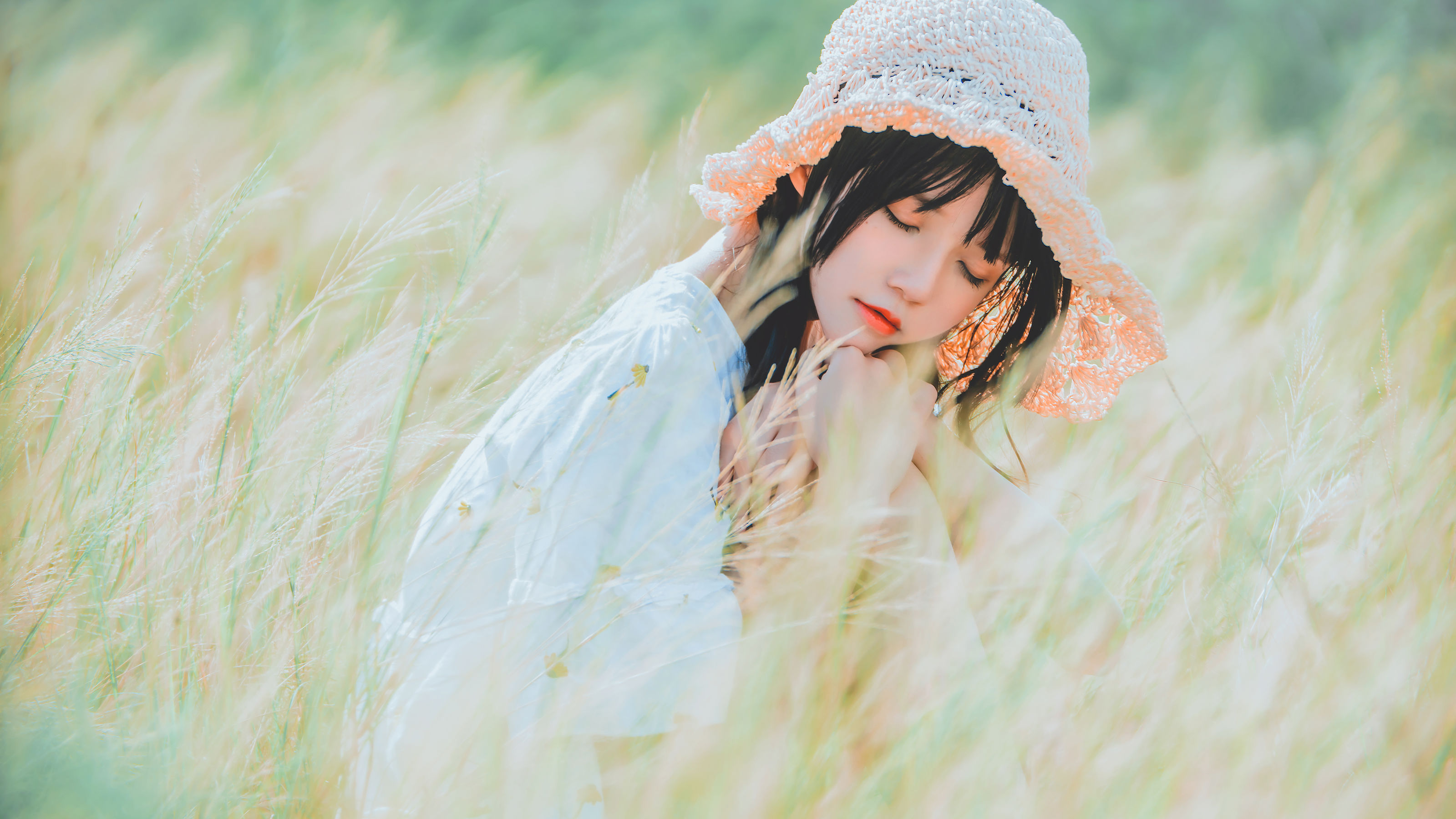 桜桃喵《田野》》