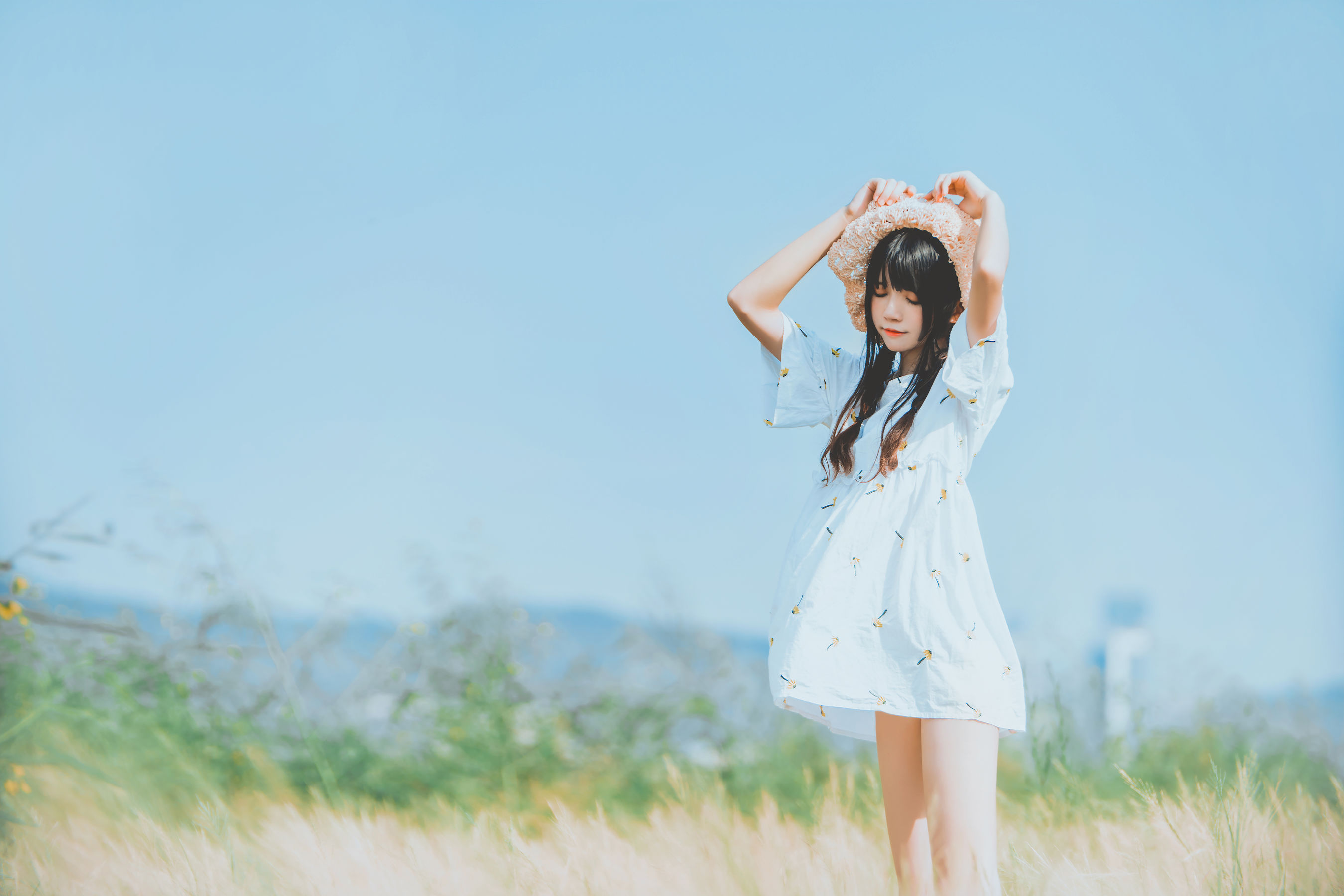 桜桃喵《田野》》