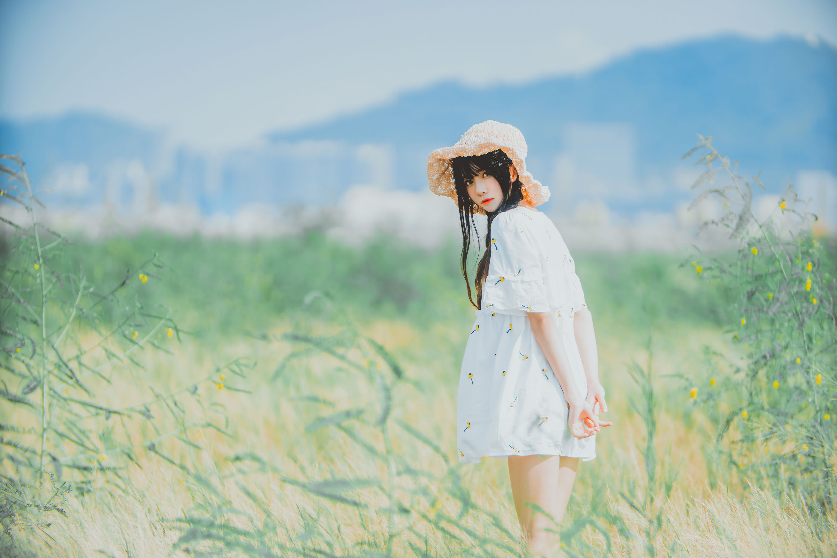 桜桃喵《田野》》