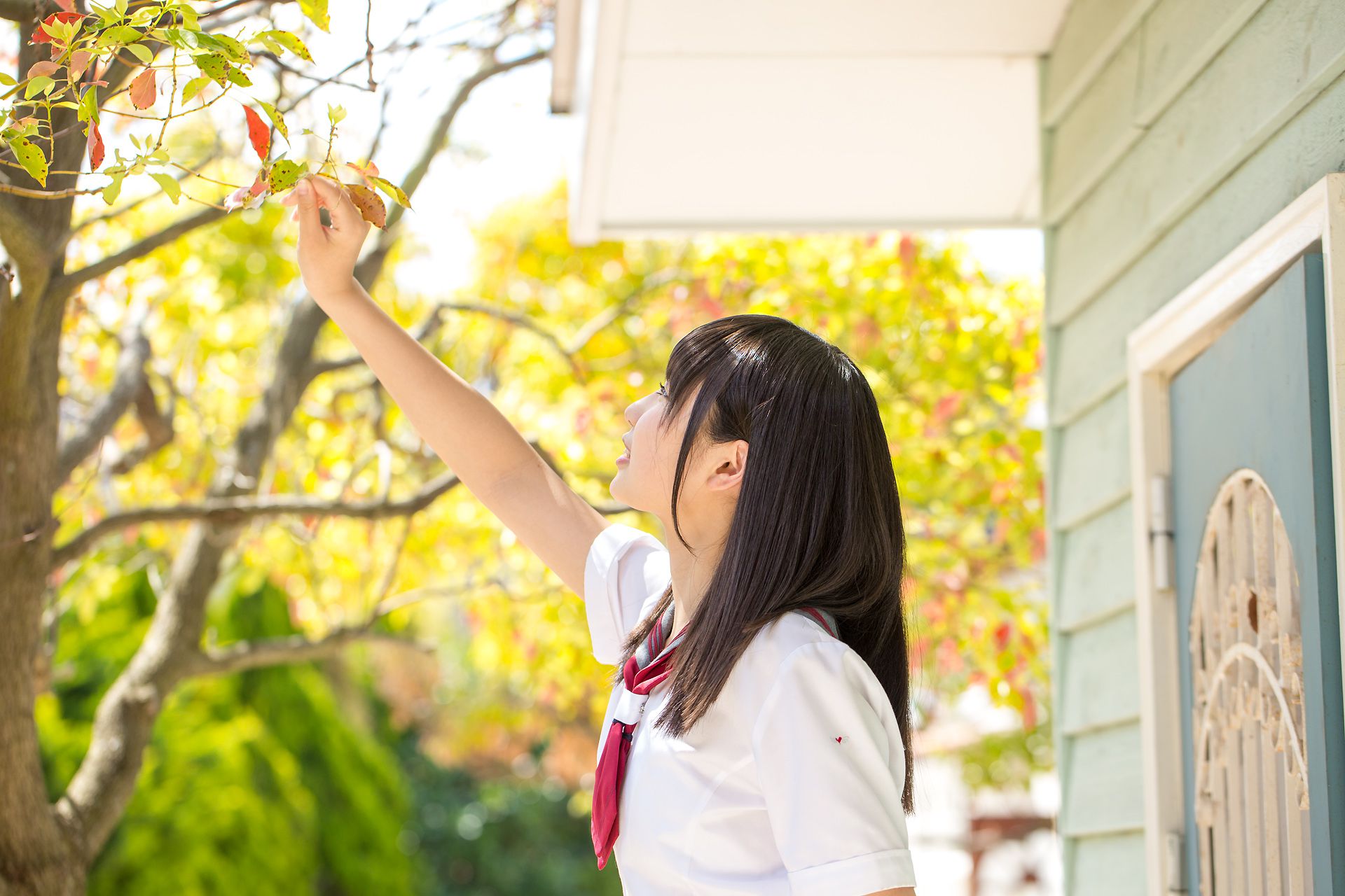 [Minisuka.tv] Kurumi Miyamaru 宮丸くるみ - Regular Gallery 4.1