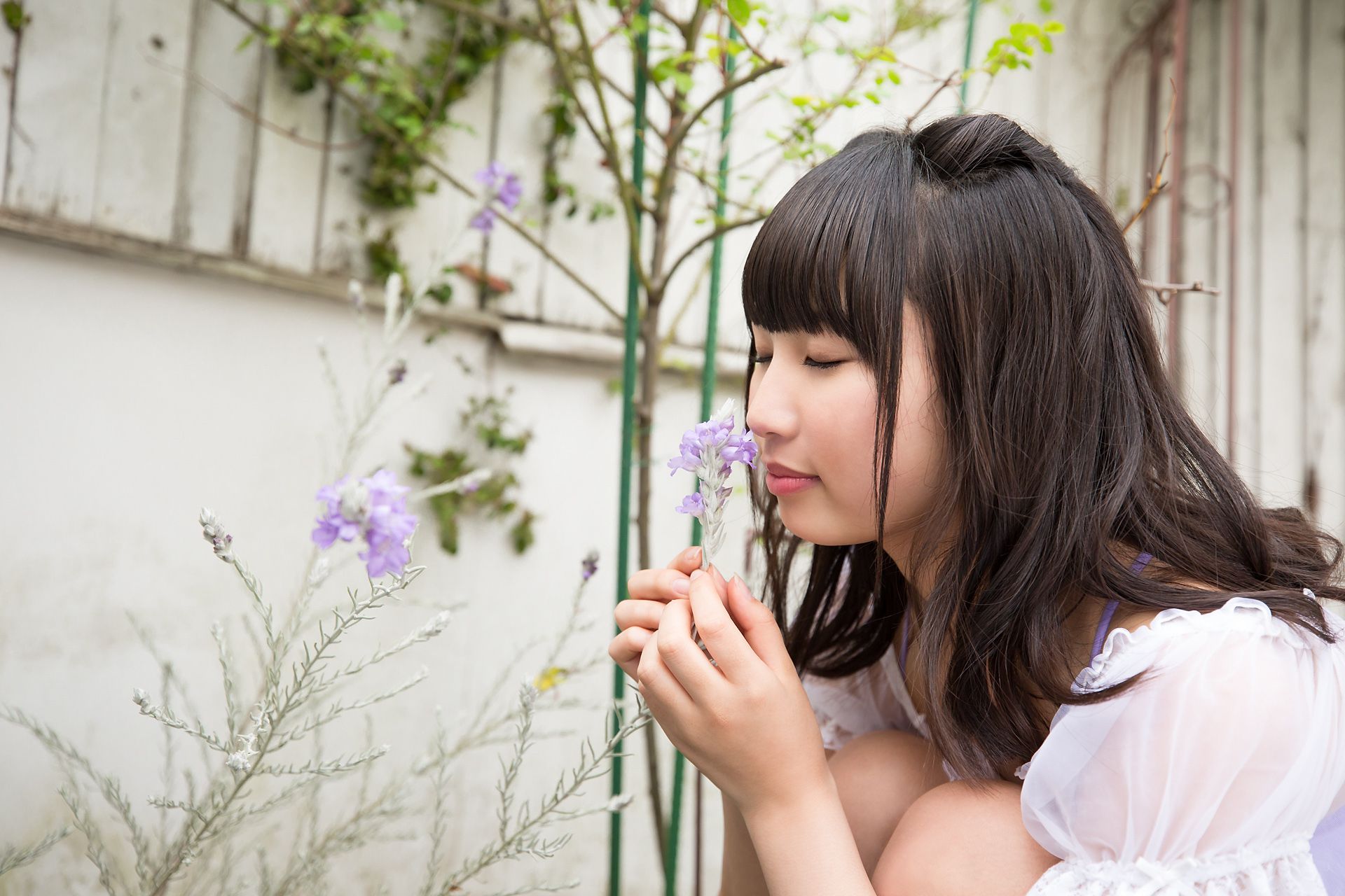 [Minisuka.tv] Kurumi Miyamaru 宮丸くるみ - Regular Gallery 4.3