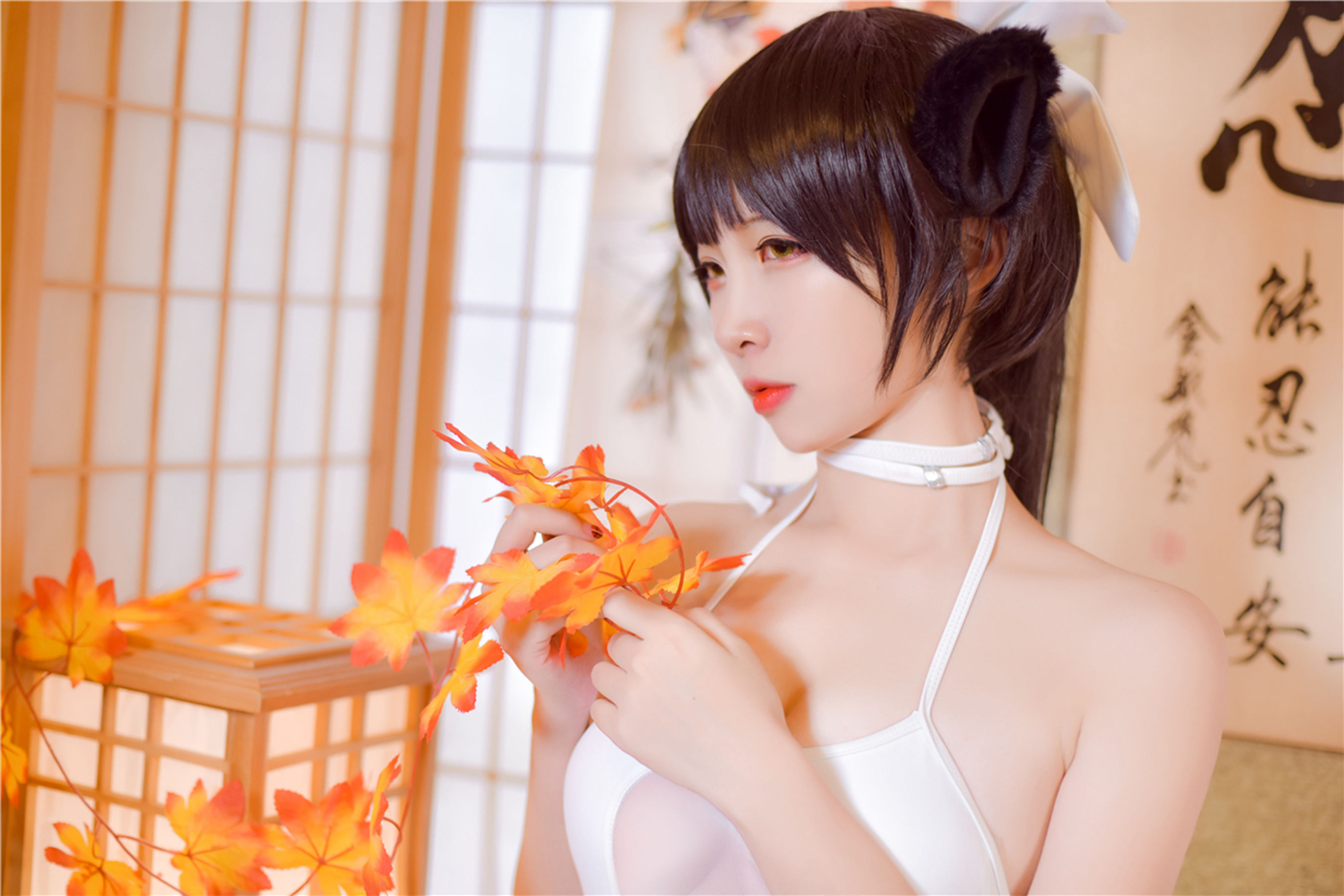 [风之领域] NO.161 二佐Nisa COS嫩妹