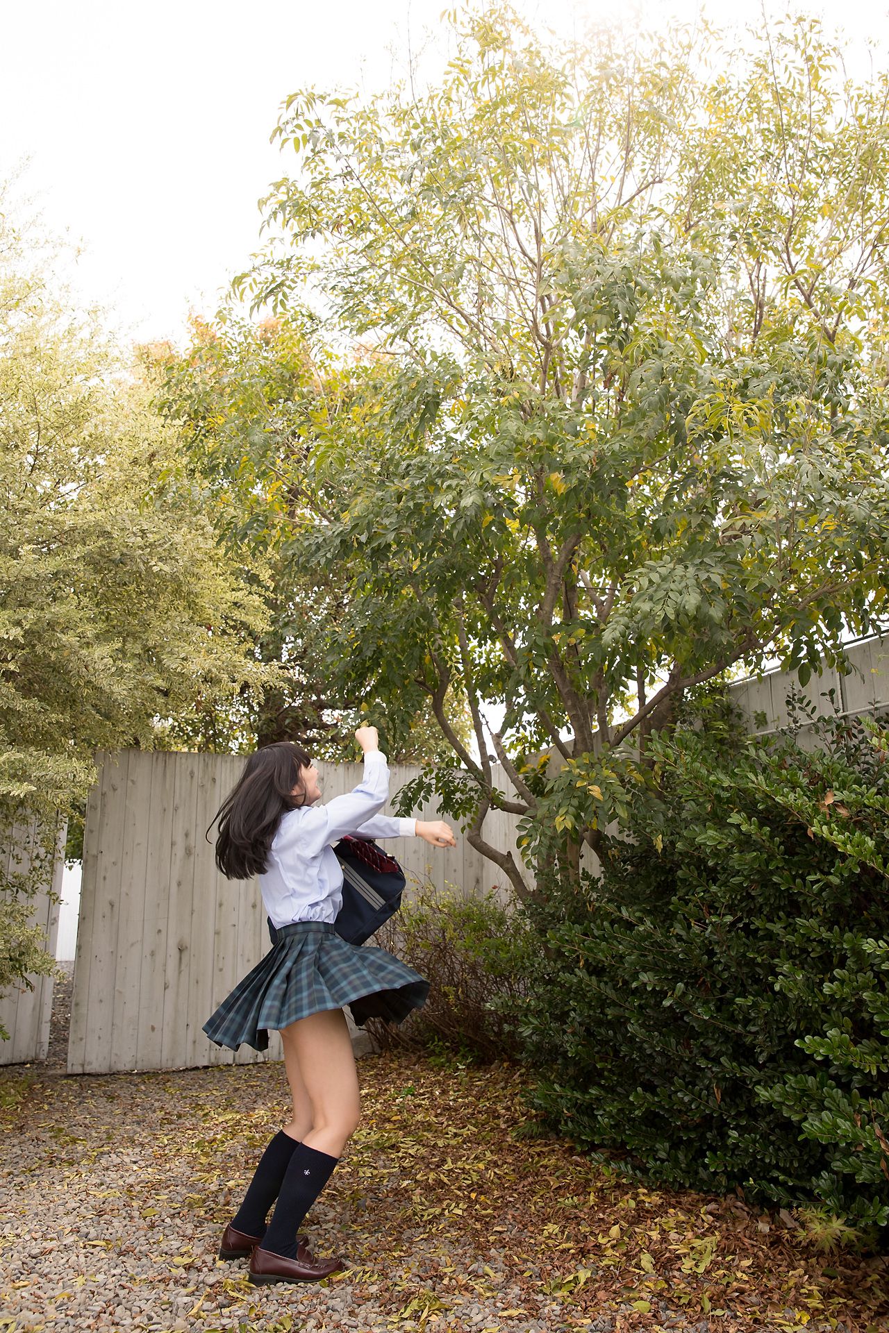 [Minisuka.tv] Ai Takanashi 高梨あい - Regular Gallery 11.1