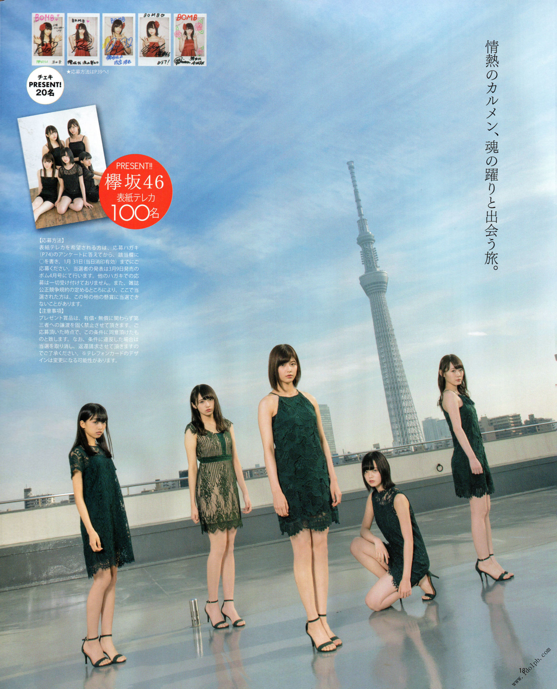 [BOMB!(ボム!)] 2017年02月号 平手友梨奈 志田爱佳 菅井友香