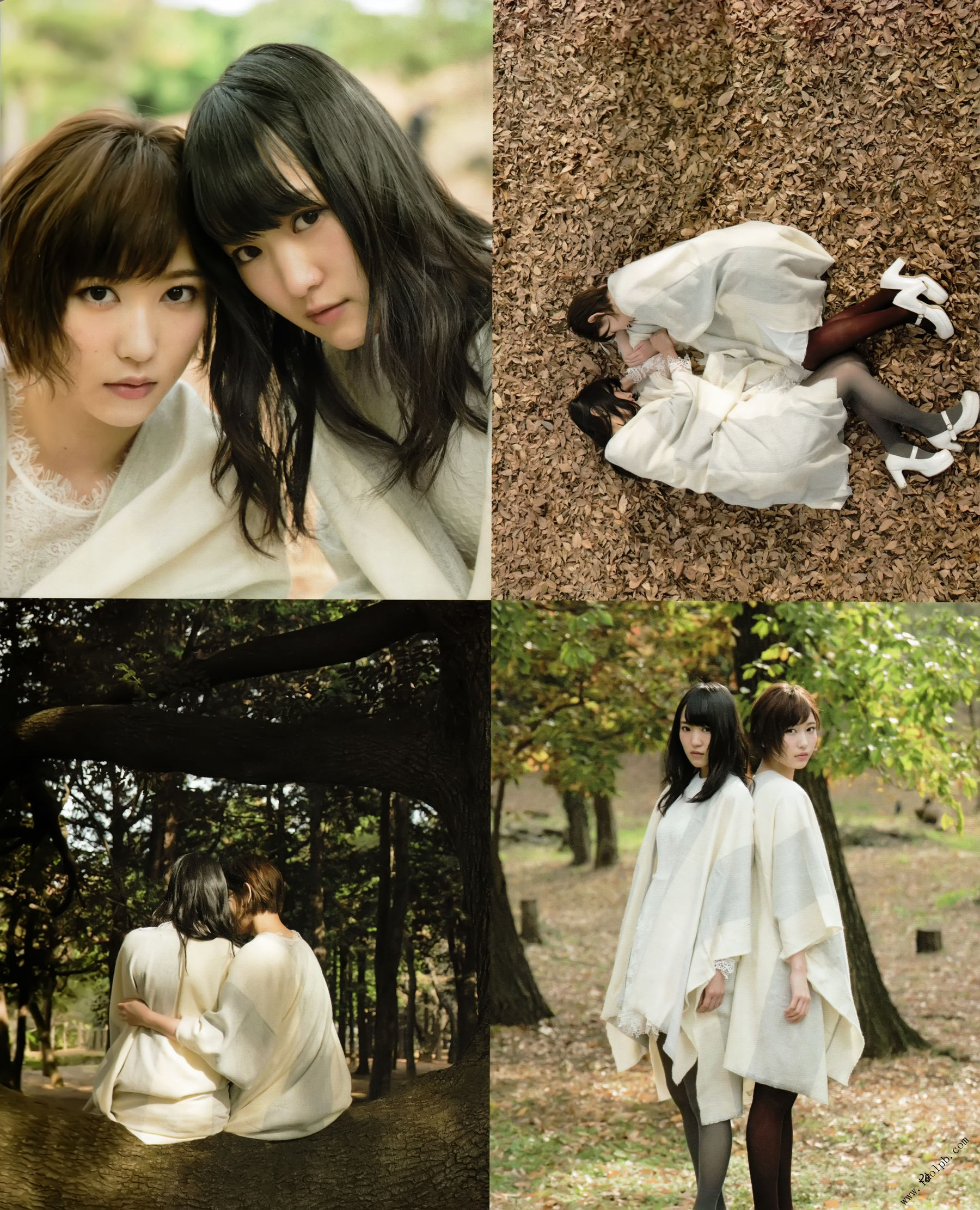 [BOMB!(ボム!)] 2017年02月号 平手友梨奈 志田爱佳 菅井友香