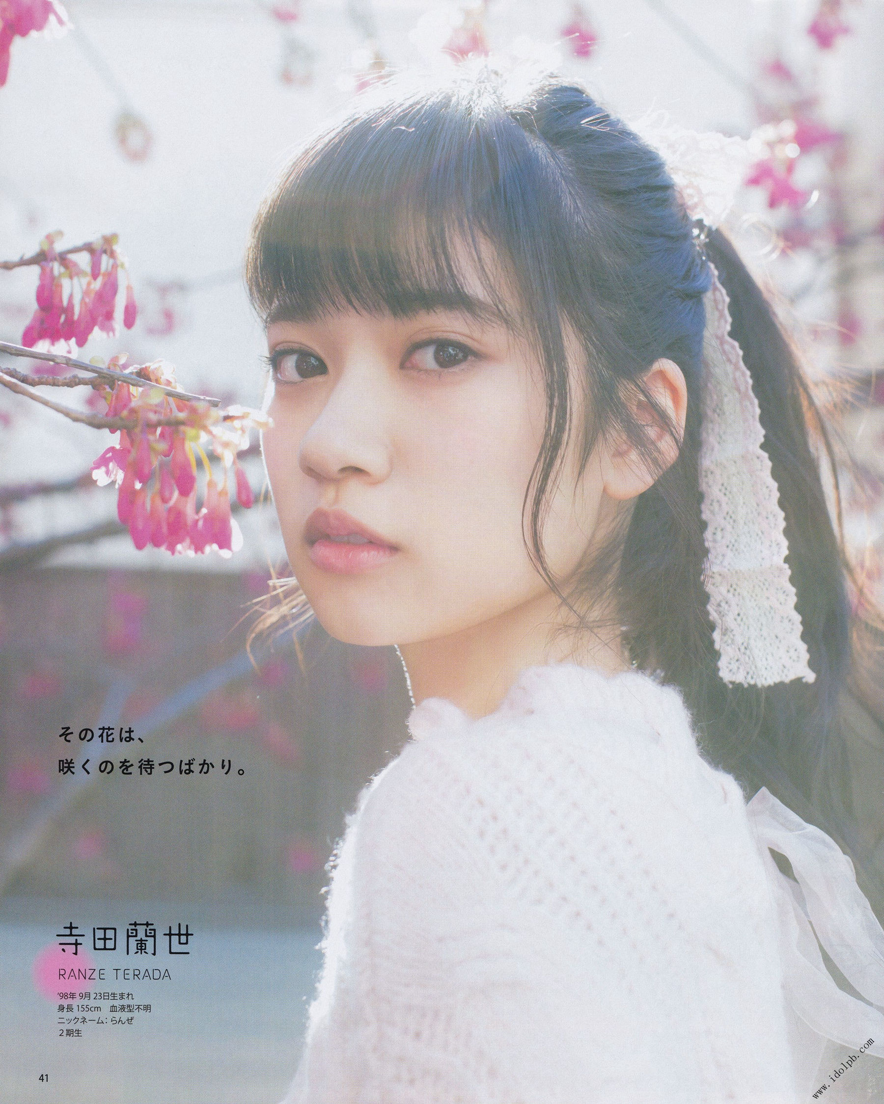 [BOMB!(ボム!)] 2017年04月号 加藤史帆 佐々木美铃 齊藤京子 寺田蘭世 田口爱佳 菅井友香 守屋茜