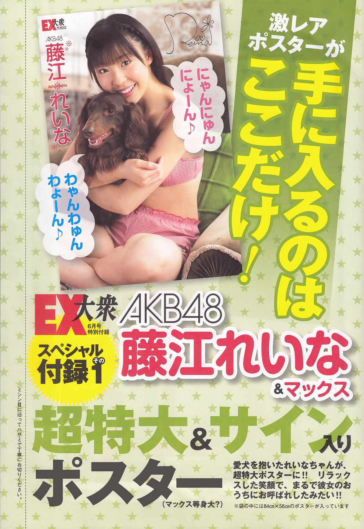 [EX Taishu] 2011年No.06 山本梓 杉原杏璃 藤江れいな 市道真央 とっきー 護あさな