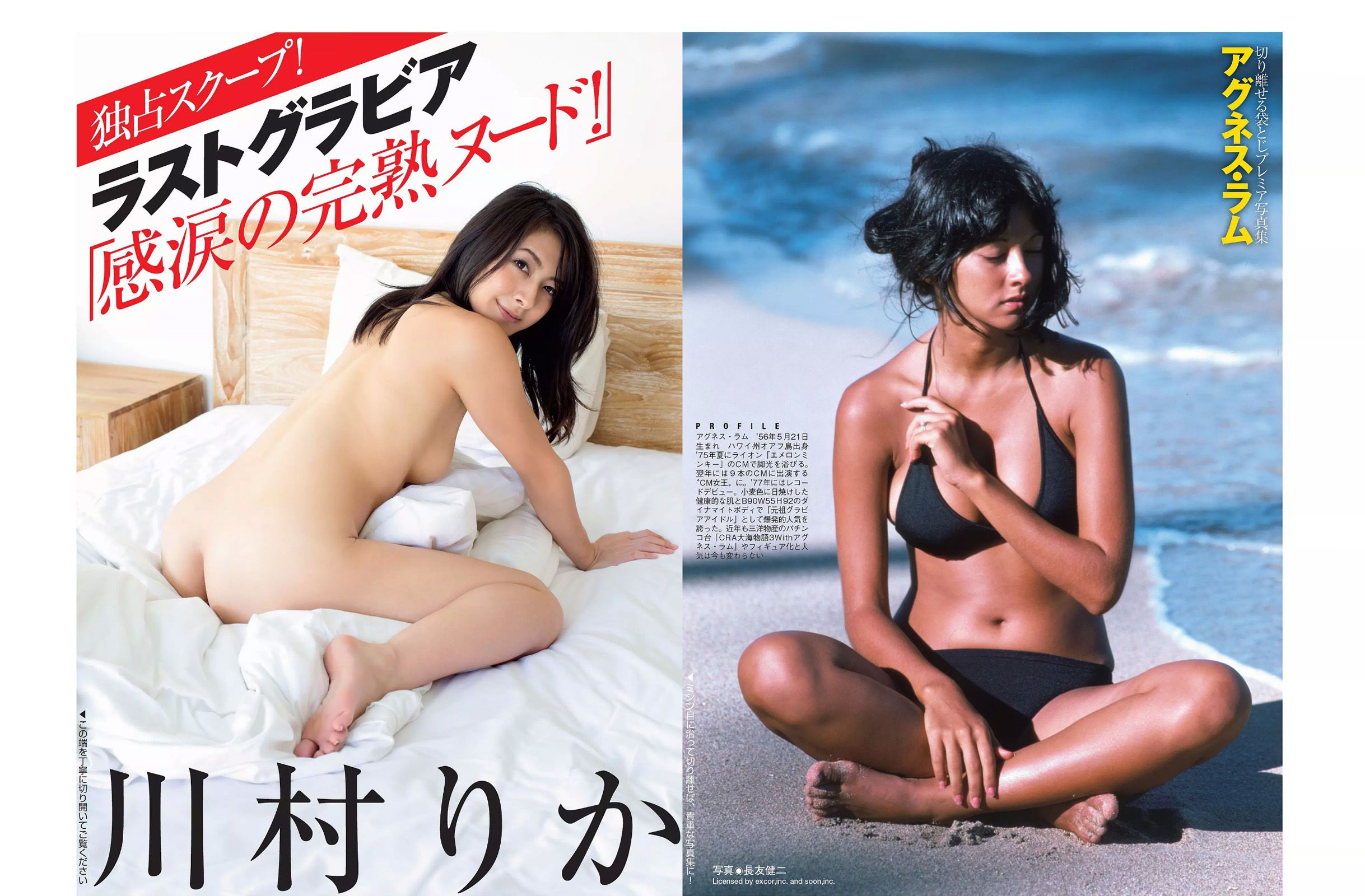 [FLASH] 2015.11.10-17 橋本マナミ アグネス?ラム 川村りか 柳ゆり菜 山田菜々 紺野美沙子