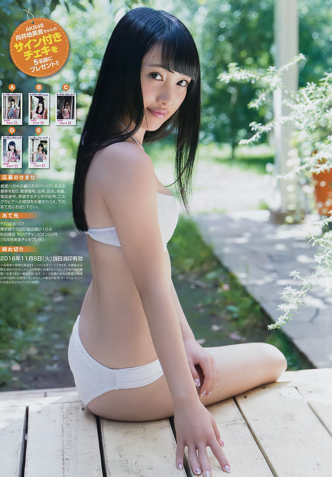 [Young Champion] 2016年No.22 向井地美音 和地つかさ