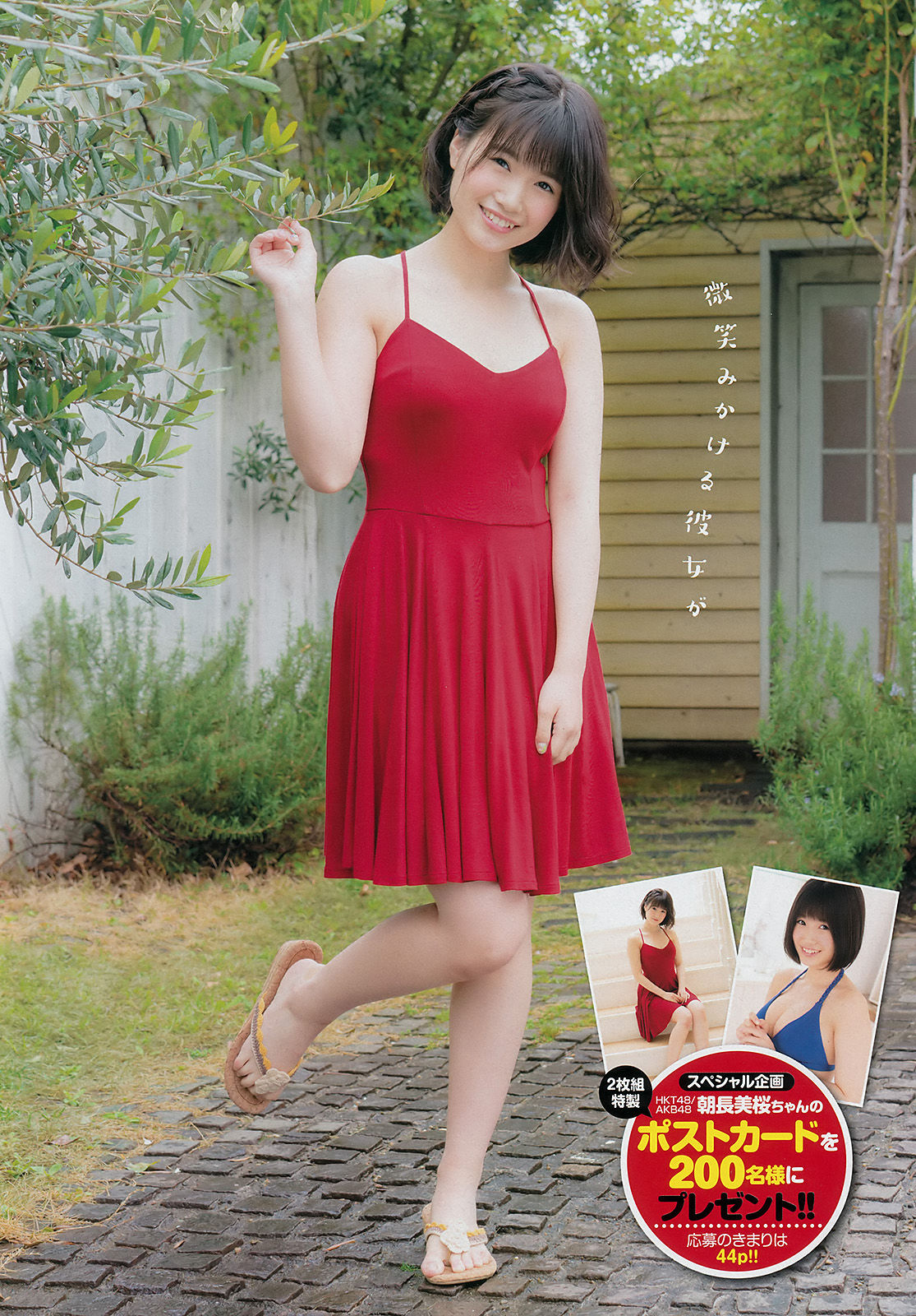 [Young Champion] 2017年No.11 朝長美桜 青山ひかる